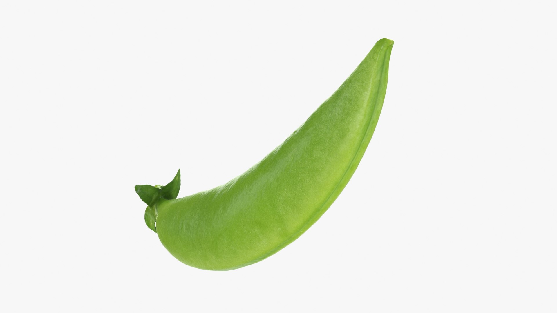3D model Snap Pea 01 https://p.turbosquid.com/ts-thumb/5c/3NMvnX/8K/snappea01_b0018/jpg/1719993842/1920x1080/fit_q87/4cfa006a42ecb41a563b62b65cd461cfde17d6f2/snappea01_b0018.jpg