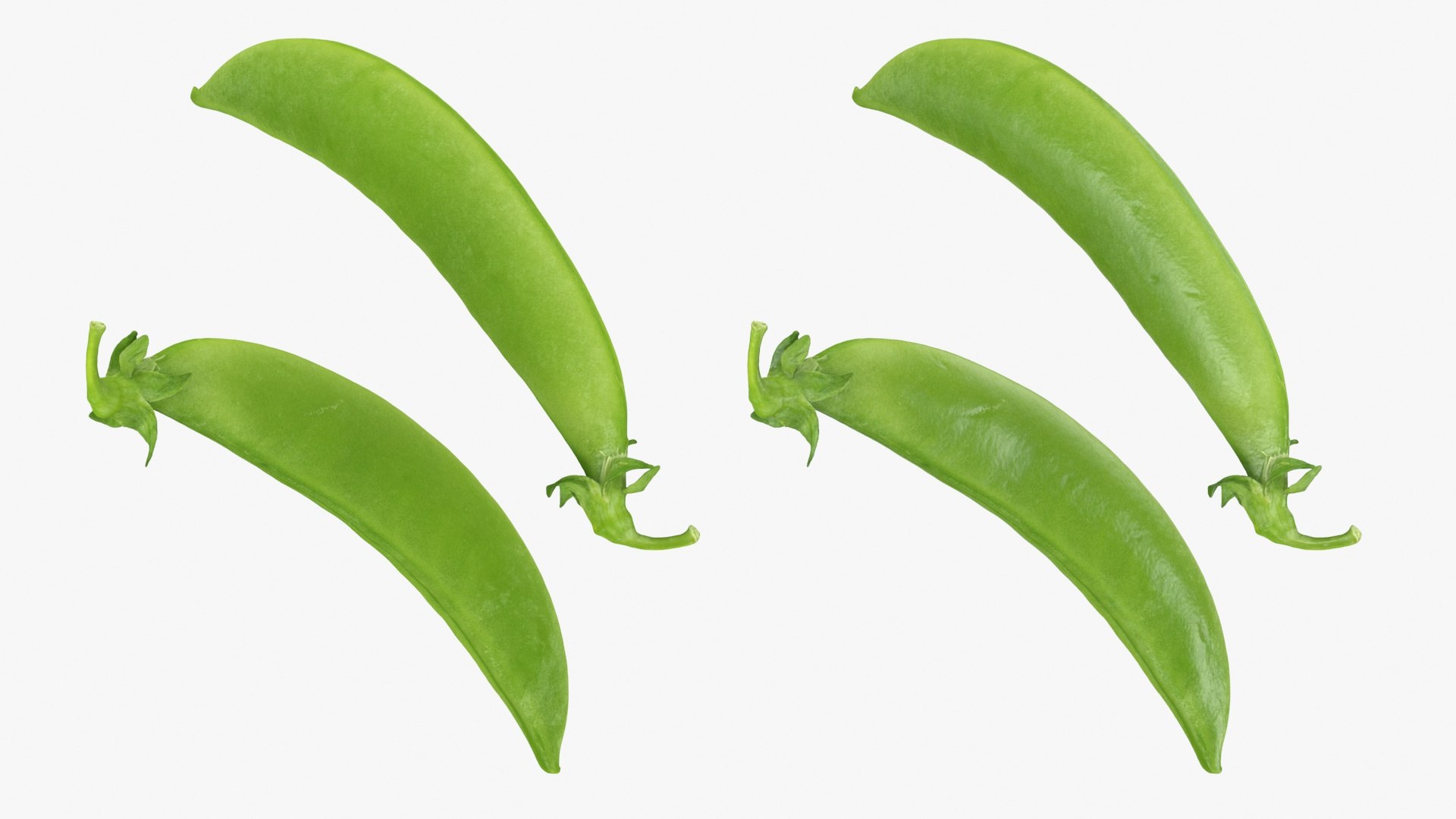 3D model Snap Pea 01 https://p.turbosquid.com/ts-thumb/5c/3NMvnX/9W/snappea01_a0003/jpg/1719993836/1920x1080/fit_q87/112eda0d7e5e9ff8d1ec35fa6be86498df4a6a3d/snappea01_a0003.jpg