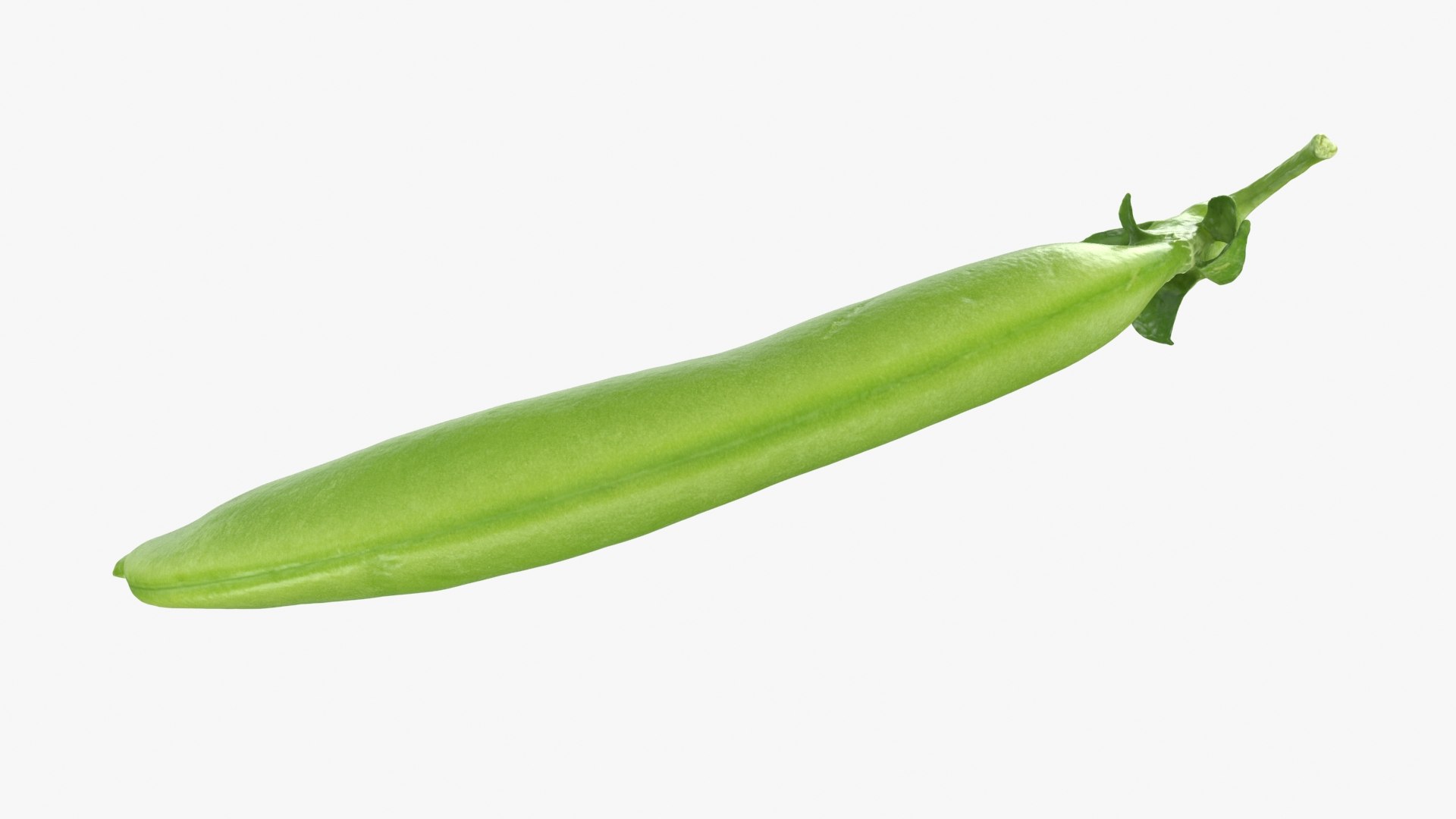 3D model Snap Pea 01 https://p.turbosquid.com/ts-thumb/5c/3NMvnX/Pq/snappea01_b0020/jpg/1719993843/1920x1080/fit_q87/fe969f847d2353486774c1bf3dc7e89a9fa951d8/snappea01_b0020.jpg
