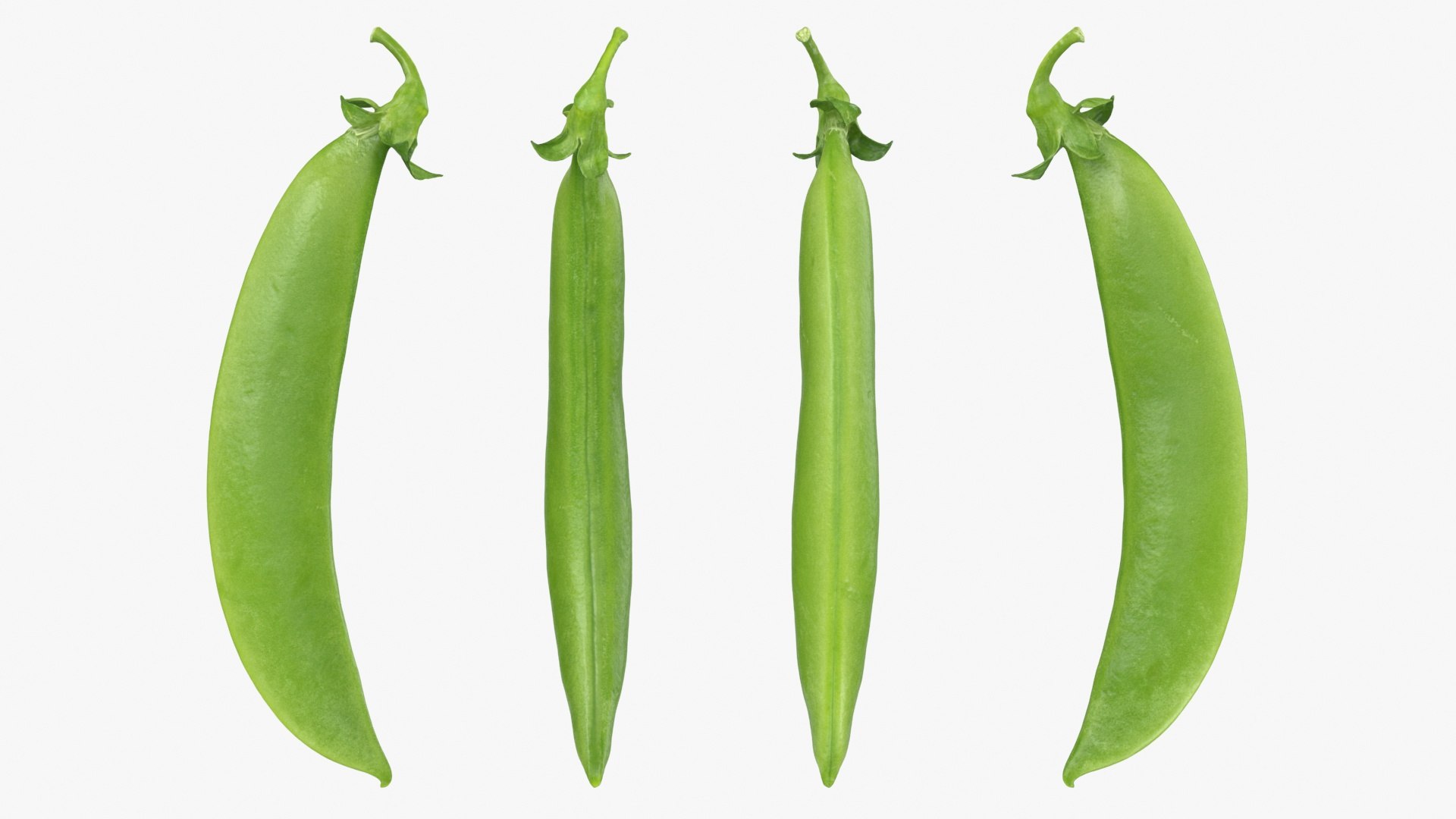 3D model Snap Pea 01 https://p.turbosquid.com/ts-thumb/5c/3NMvnX/S1/snappea01_a0002/jpg/1719993835/1920x1080/fit_q87/09c3ca9eb1fa630cd021151779eed574a026104c/snappea01_a0002.jpg