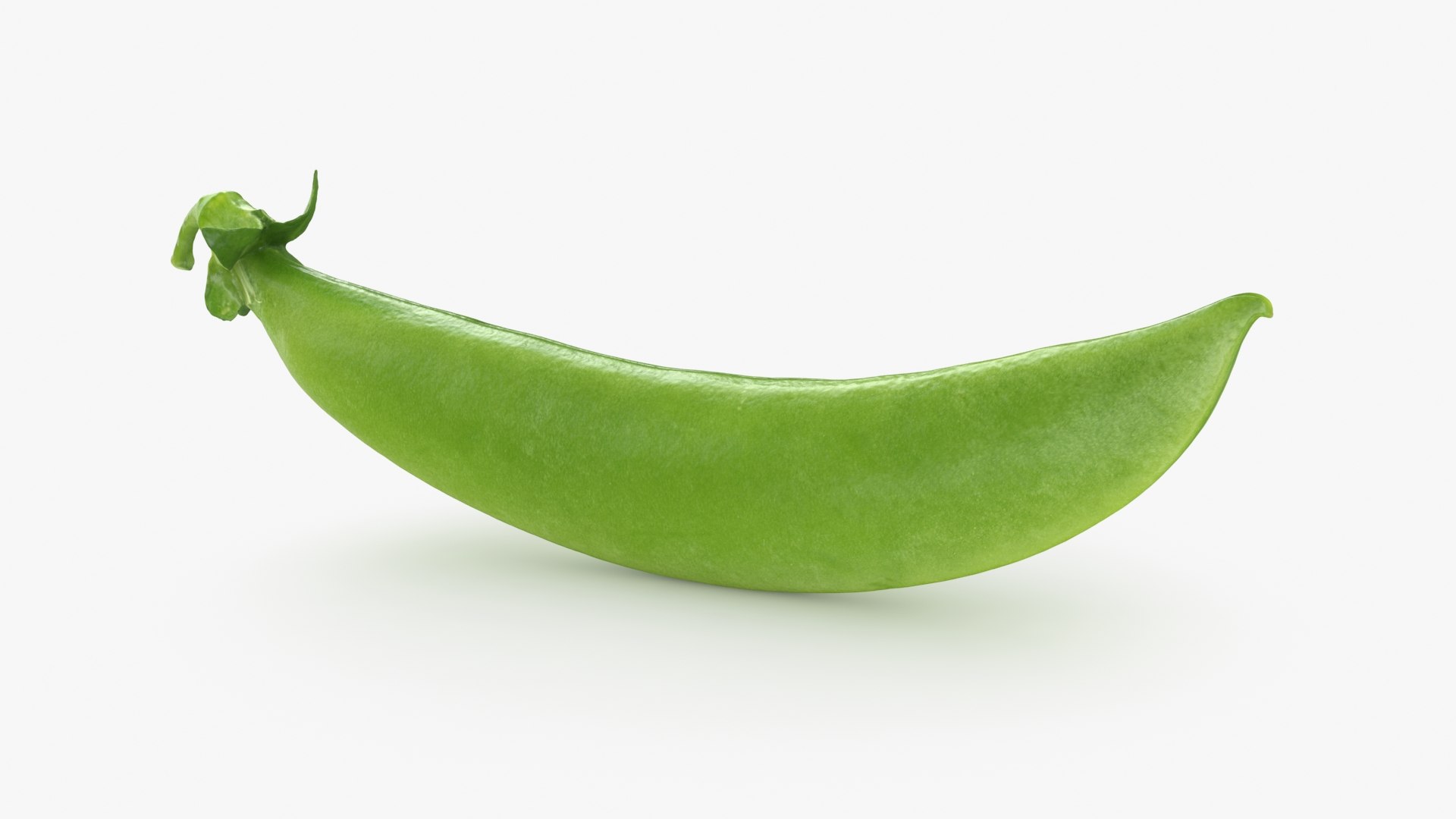 3D model Snap Pea 01 https://p.turbosquid.com/ts-thumb/5c/3NMvnX/YA/snappea01_b0014/jpg/1719993841/1920x1080/fit_q87/7e1b41dc3a97daaf9c4ee9af2530a1d9ecb9082d/snappea01_b0014.jpg