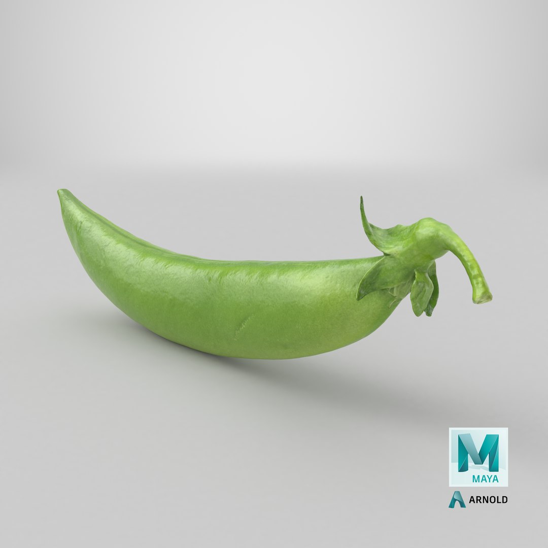 3D model Snap Pea 01 https://p.turbosquid.com/ts-thumb/5c/3NMvnX/sW/stemcell_maya_arnold_render/png/1720451160/1920x1080/fit_q87/9cdbb1e2432901e472c8a9ffa178ee5238a8111f/stemcell_maya_arnold_render.jpg