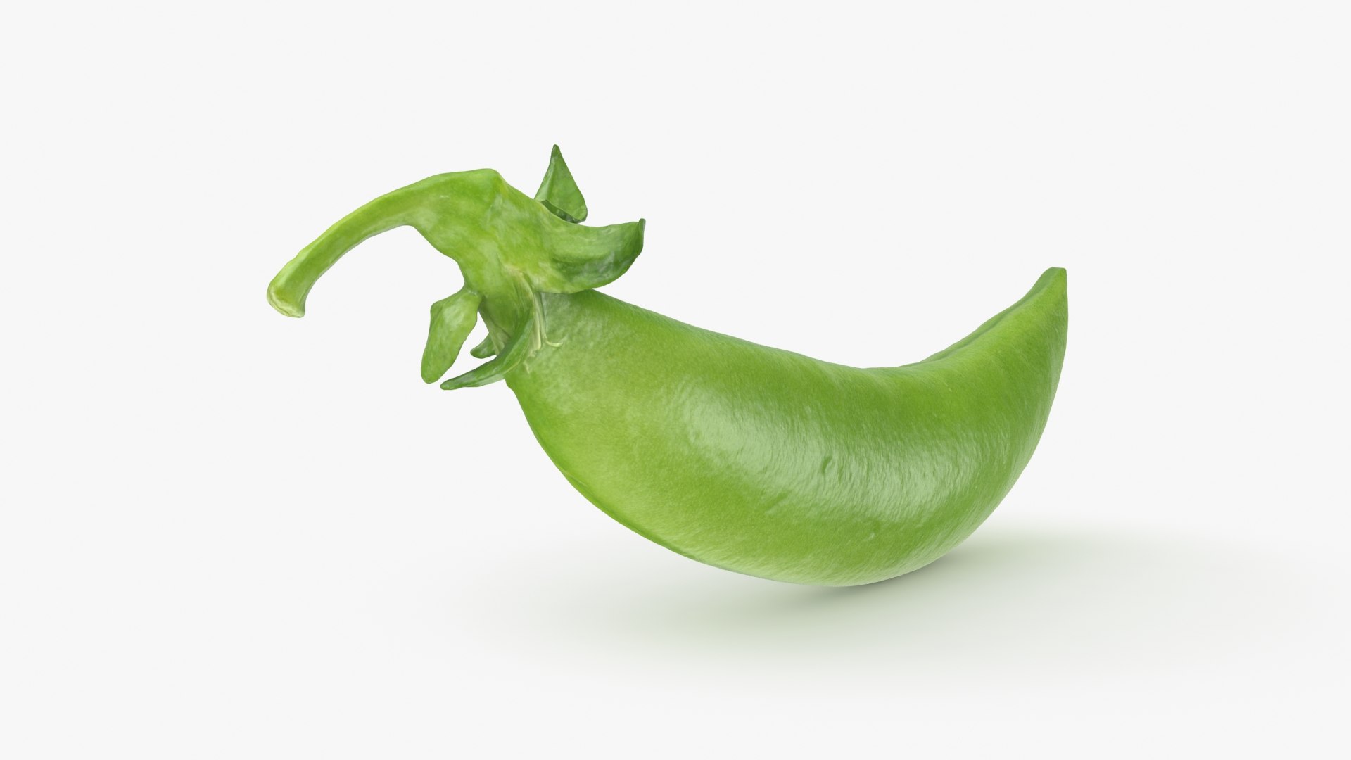 3D model Snap Pea 01 https://p.turbosquid.com/ts-thumb/5c/3NMvnX/vv/snappea01_b0010/jpg/1719993840/1920x1080/fit_q87/a65a972706ec2807ac4a5aa7cc04878a77778d79/snappea01_b0010.jpg