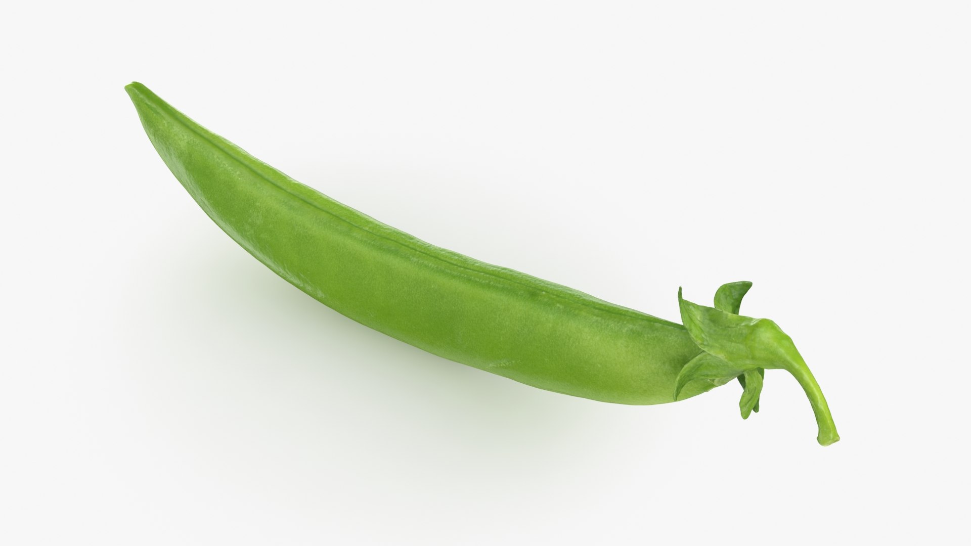 3D model Snap Pea 01 https://p.turbosquid.com/ts-thumb/5c/3NMvnX/xk/snappea01_b0012/jpg/1719993840/1920x1080/fit_q87/85a5d299378d3913a3d074ff00664f46ad7b1d74/snappea01_b0012.jpg