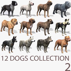 12 Dogs Collection (2)