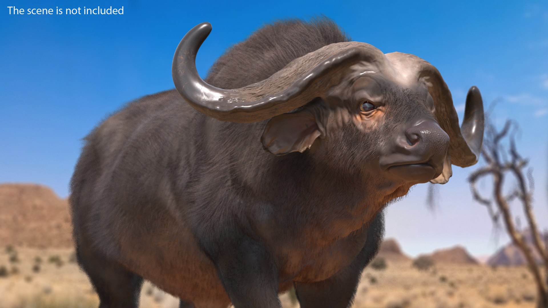 African Buffalo Walking Pose with Fur 3D model preview