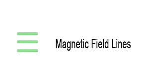 Magnetic Field Line model