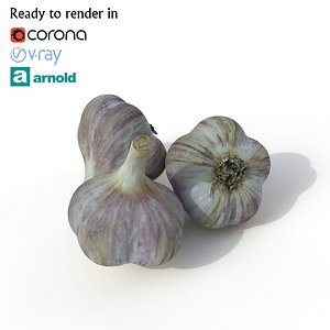 garlic photogrammetry arnold 3D model