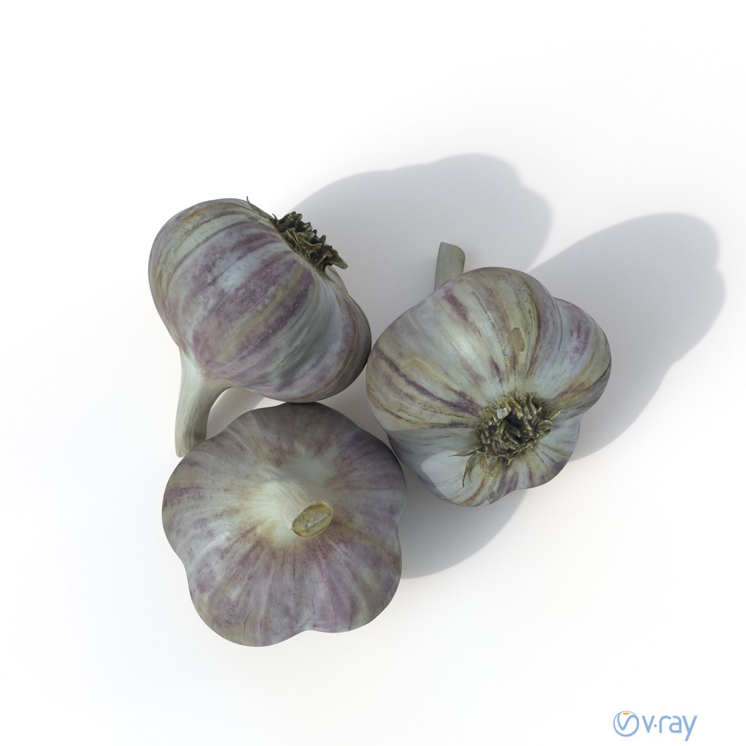 Garlic photogrammetry arnold 3D model - TurboSquid 1231046