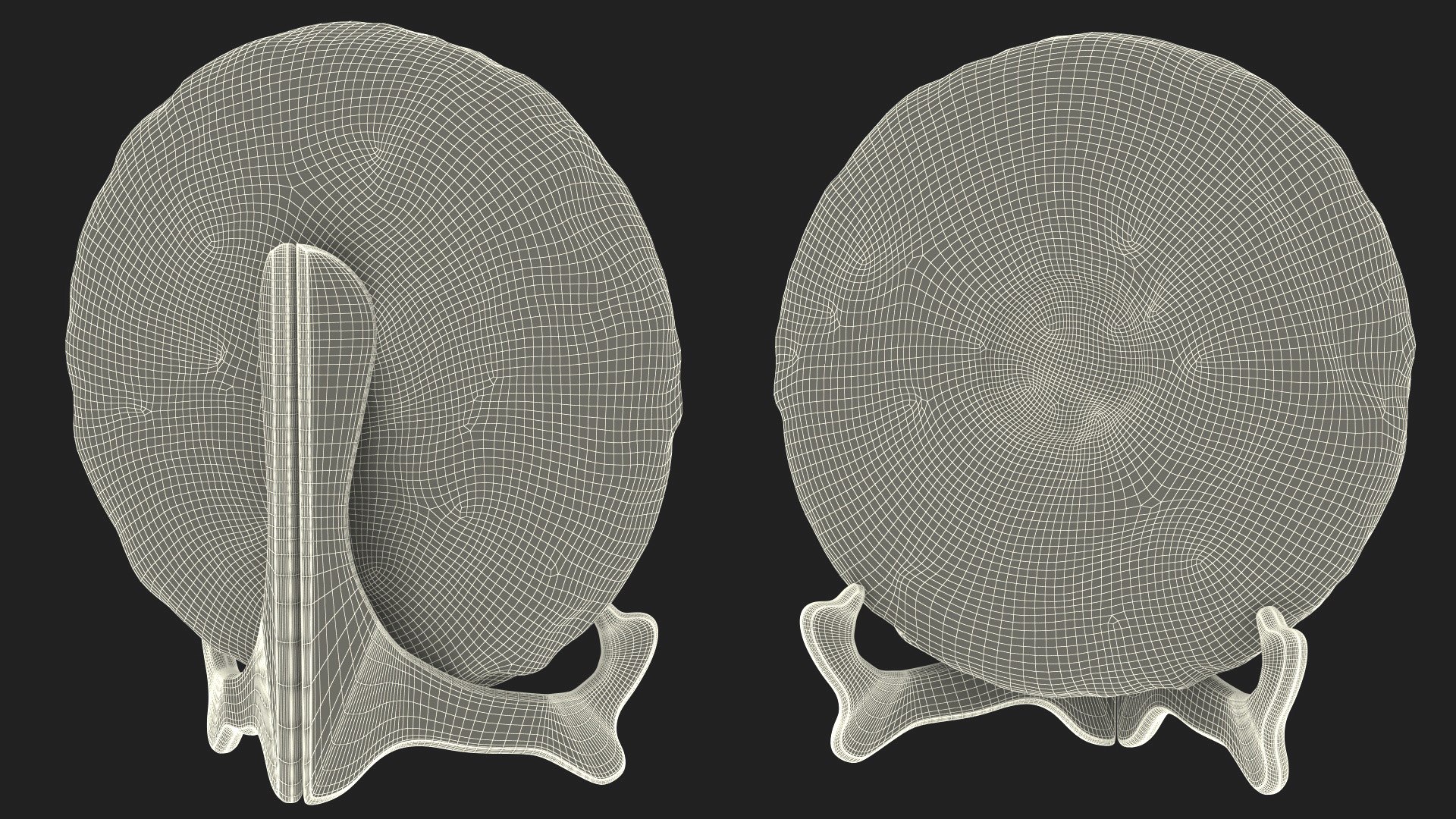 3D model Ripe Premium Puer Tea on Stand https://p.turbosquid.com/ts-thumb/5c/SmWHI9/UO/ripepremiumpuerteaonstandmb3dmodel020/jpg/1705850327/1920x1080/fit_q87/910a5f916b9bf71ba6f40ad1ba2e6302f86f4b4b/ripepremiumpuerteaonstandmb3dmodel020.jpg