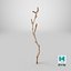 Cellula staminale Sprig 18 scansionata