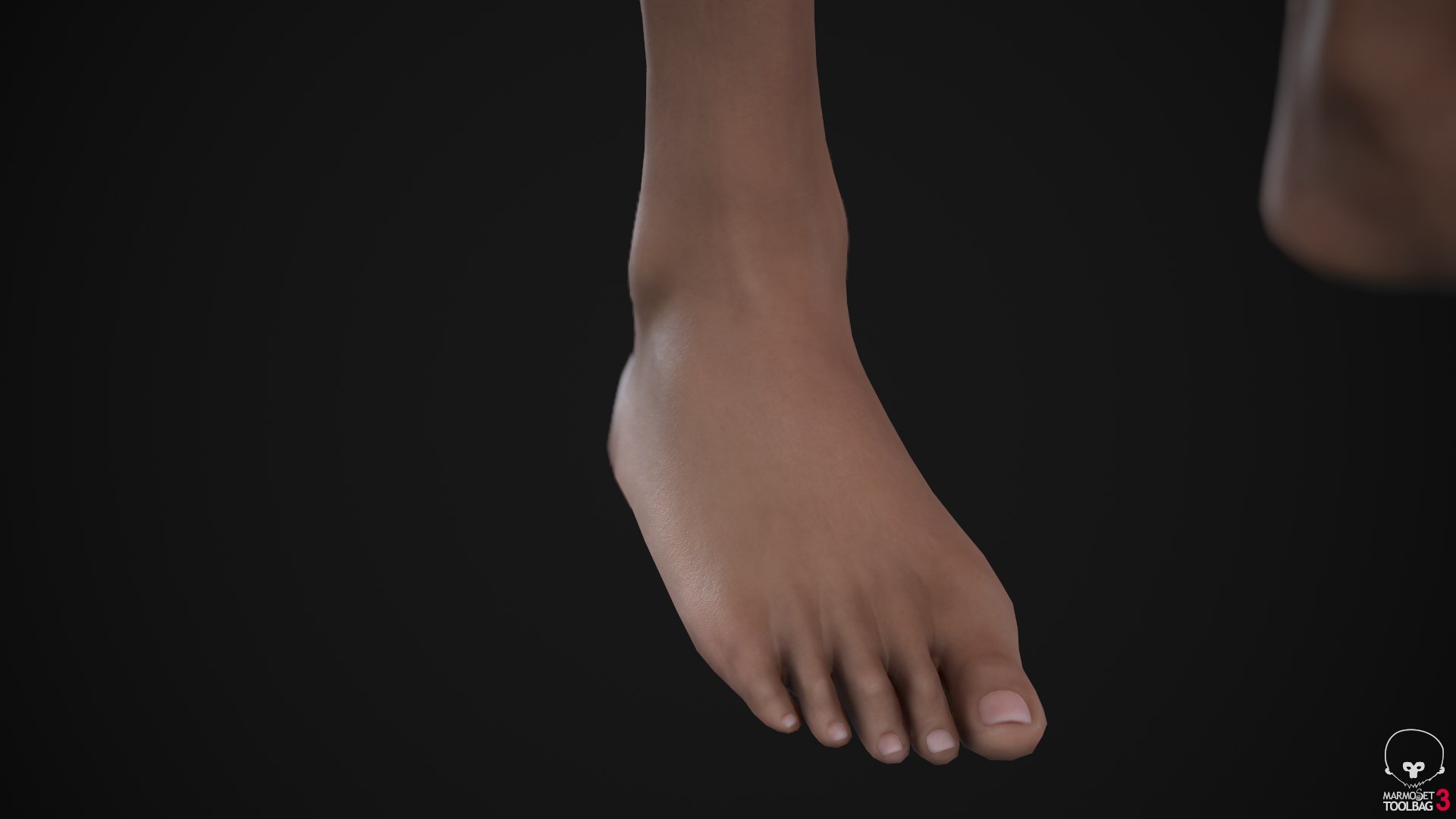 3D Muscle Women Collection https://p.turbosquid.com/ts-thumb/5c/hzimaF/3v/screenshot020/png/1625307893/1920x1080/fit_q87/7a7cfa914222e0f4ab5a544dc94337db35293132/screenshot020.jpg