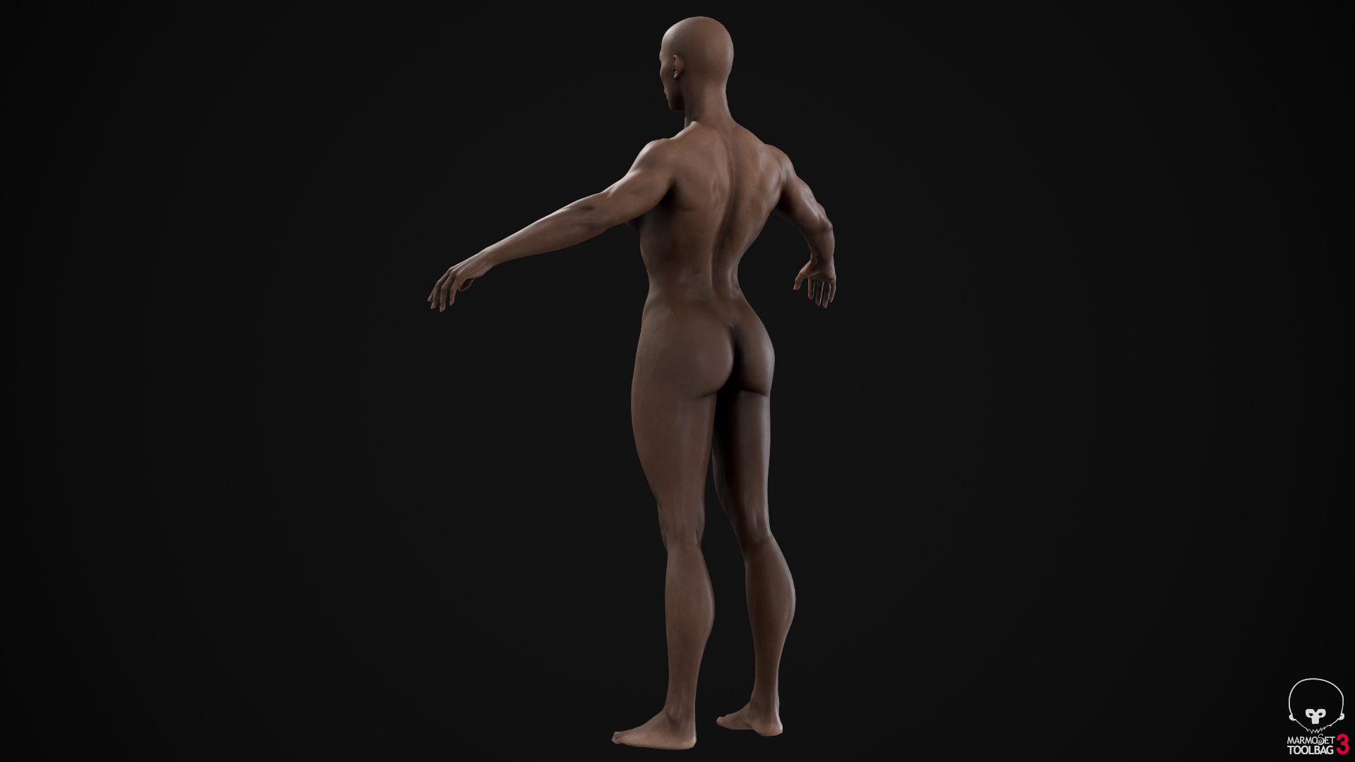 3D Muscle Women Collection https://p.turbosquid.com/ts-thumb/5c/hzimaF/O6/ascreenshot0149/png/1625308340/1920x1080/fit_q87/c84e439fbbf9e27738f3696e253fb7eec68a9f1a/ascreenshot0149.jpg