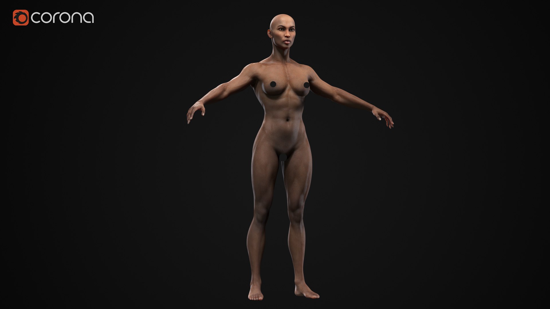 3D Muscle Women Collection https://p.turbosquid.com/ts-thumb/5c/hzimaF/gT/a13/jpg/1625307835/1920x1080/fit_q87/03d69dd53c378922acd7aa40d1f7e6ca9929808b/a13.jpg
