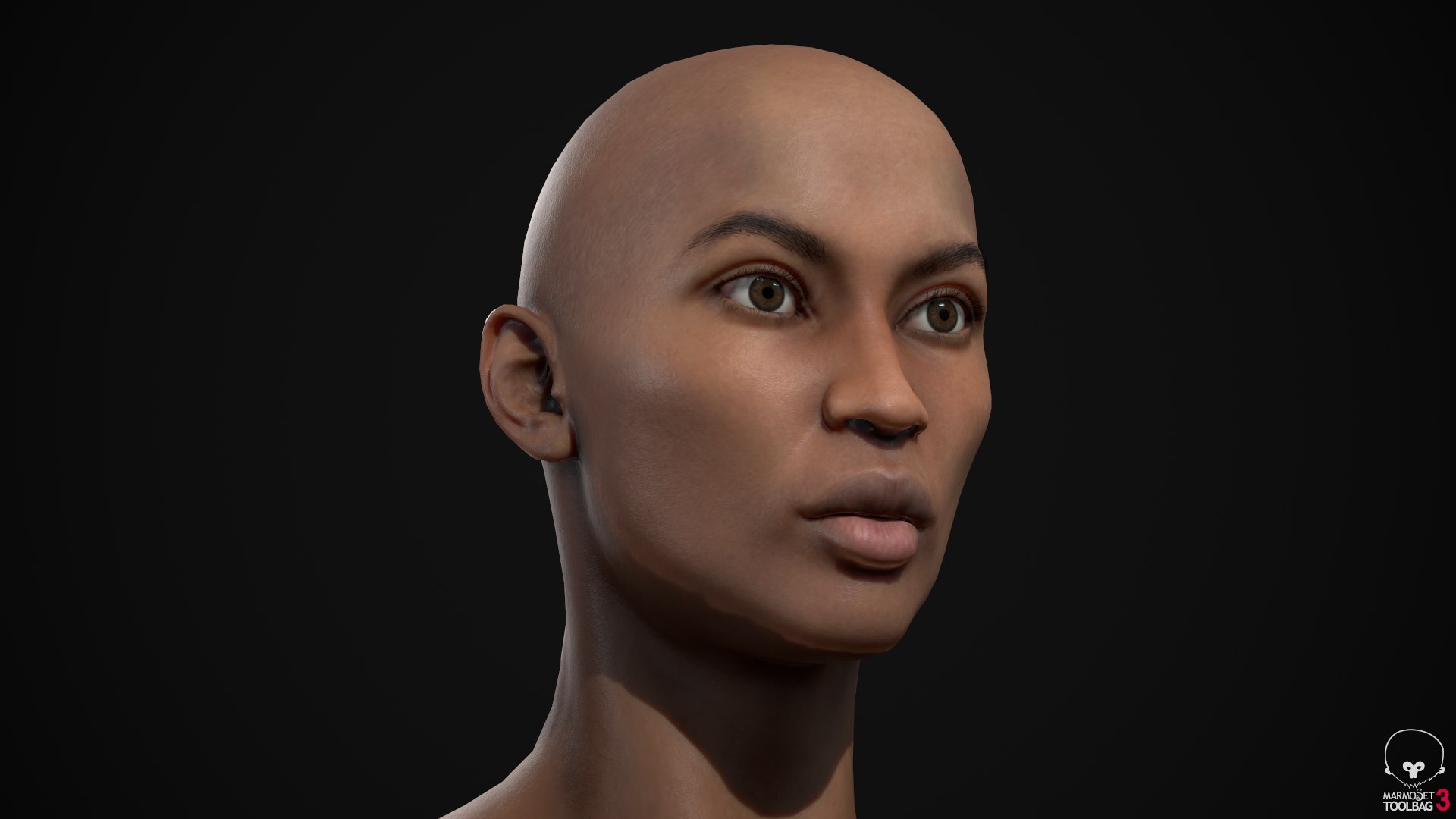 3D Muscle Women Collection https://p.turbosquid.com/ts-thumb/5c/hzimaF/jt/ascreenshot01412/png/1625308343/1920x1080/fit_q87/28d3546c8aab11625a333351ea550651845f8e53/ascreenshot01412.jpg