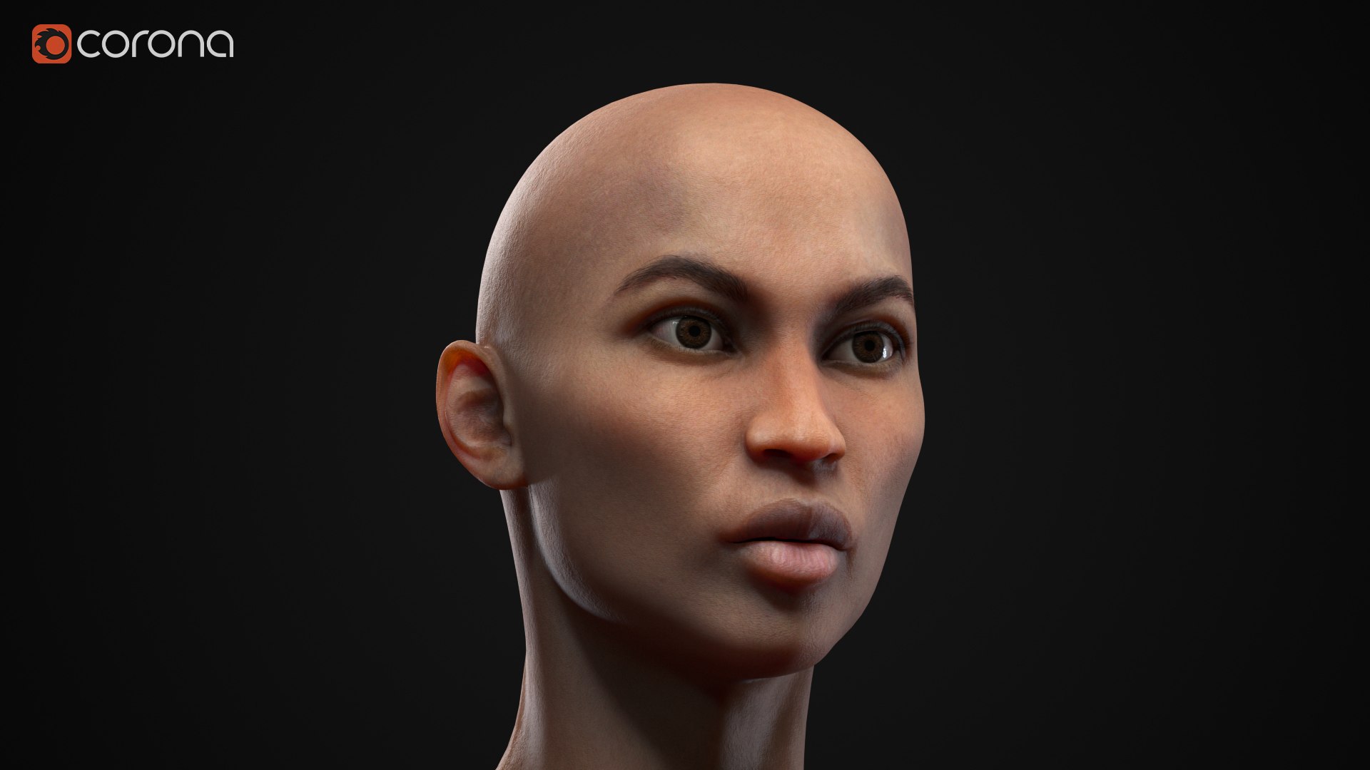 3D Muscle Women Collection https://p.turbosquid.com/ts-thumb/5c/hzimaF/kZ/a11/jpg/1625307836/1920x1080/fit_q87/3016b5142b6a1987596e75462f082c6f5ea654a7/a11.jpg