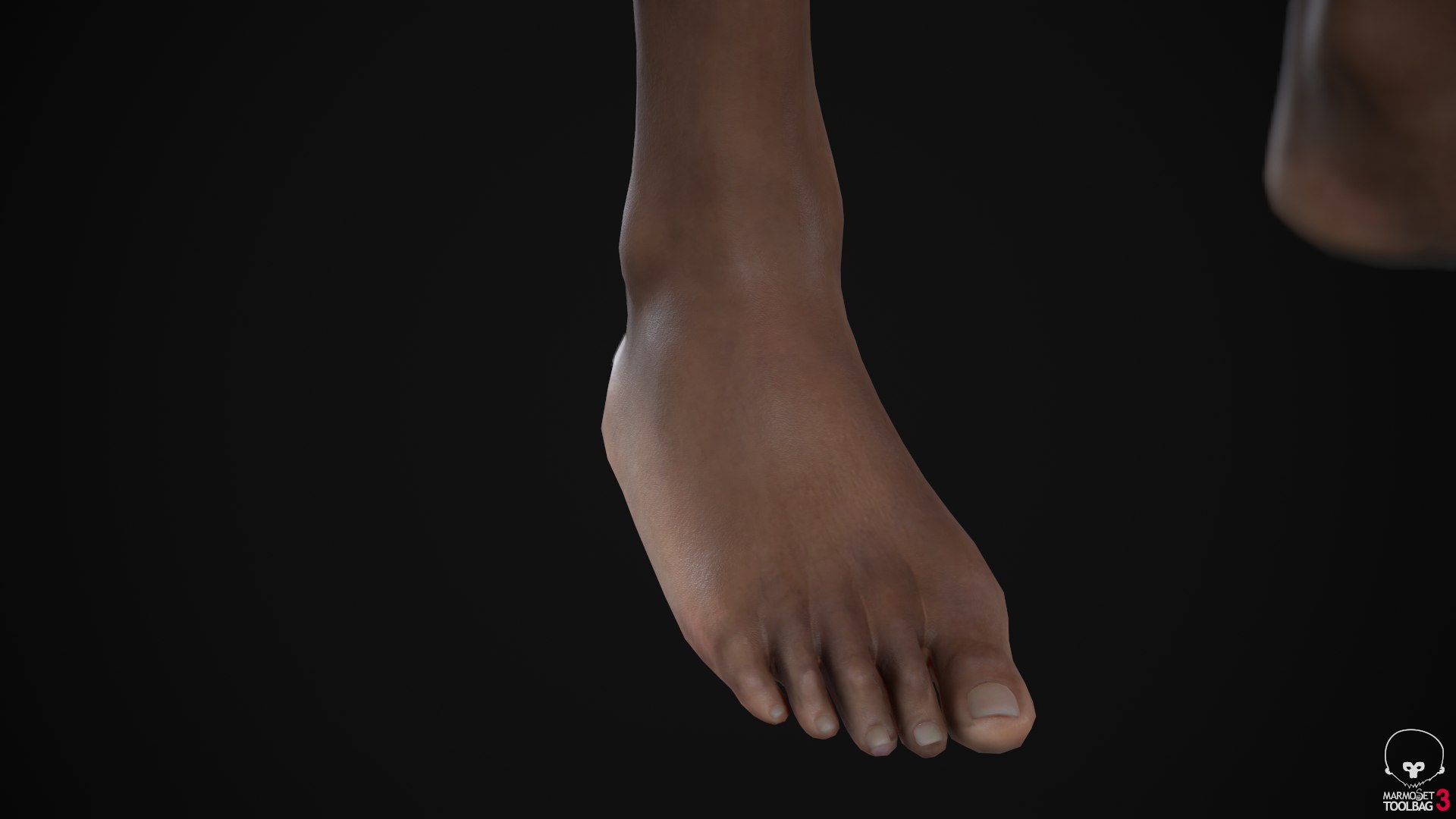 3D Muscle Women Collection https://p.turbosquid.com/ts-thumb/5c/hzimaF/m8/ascreenshot01420/png/1625308346/1920x1080/fit_q87/2c0cc4b0f9ad5526420a48ab63f23de2398930cf/ascreenshot01420.jpg