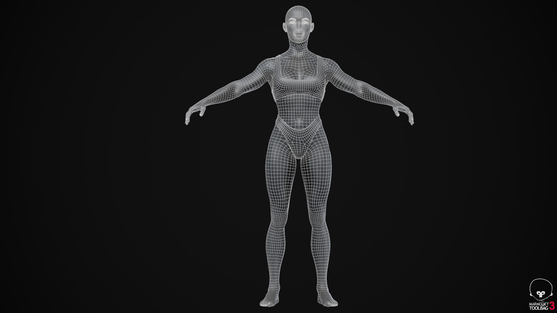 3D Muscle Women Collection https://p.turbosquid.com/ts-thumb/5c/hzimaF/mC/ascreenshot01424/png/1625308342/1920x1080/fit_q87/2909a59c76dbb6ae1b0319428c45451e94861b71/ascreenshot01424.jpg