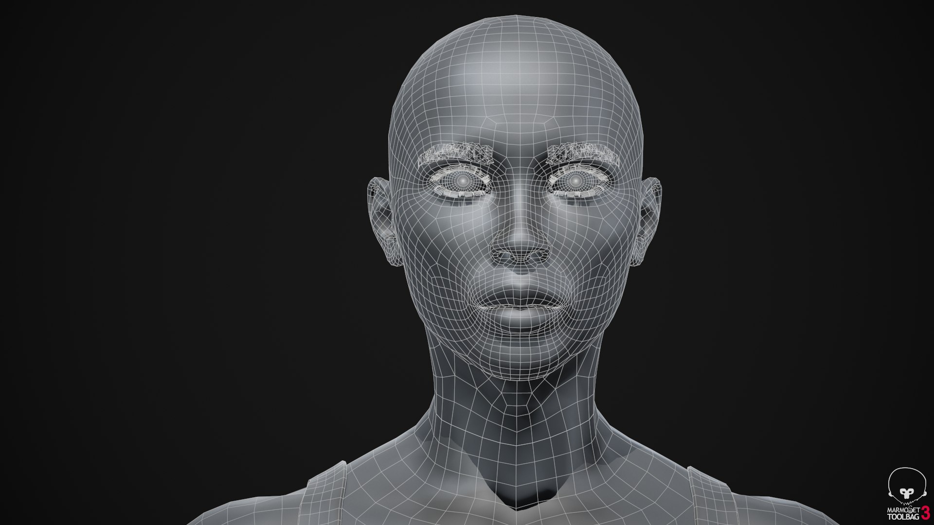 3D Muscle Women Collection https://p.turbosquid.com/ts-thumb/5c/hzimaF/nx/screenshot023/png/1625307900/1920x1080/fit_q87/1ec8b41d7b315c8ce179f291d13857903f4b347a/screenshot023.jpg