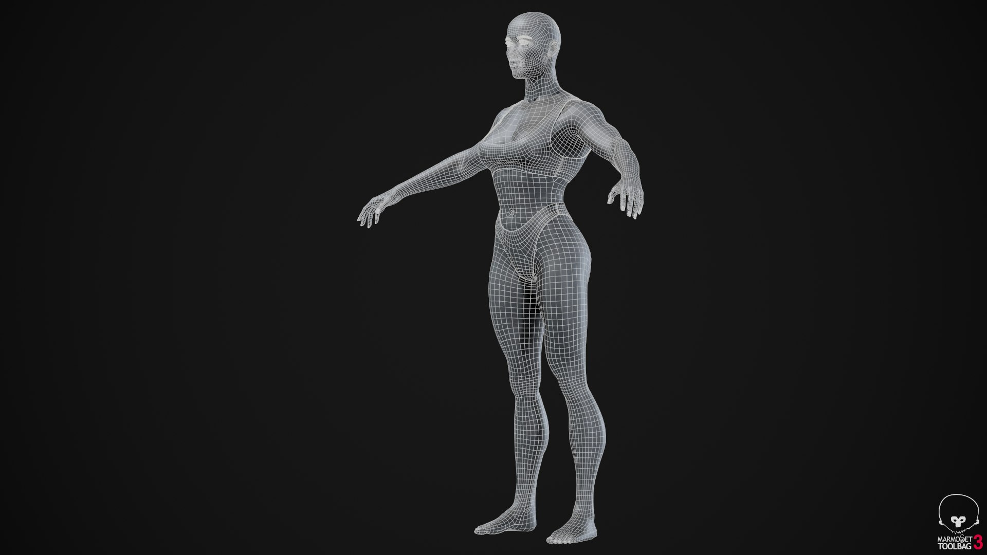 3D Muscle Women Collection https://p.turbosquid.com/ts-thumb/5c/hzimaF/zh/screenshot026/png/1625307897/1920x1080/fit_q87/efe2d22192f75d67aa6935b05f382c775be00931/screenshot026.jpg