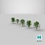Tree Collection