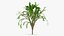 Tree Collection