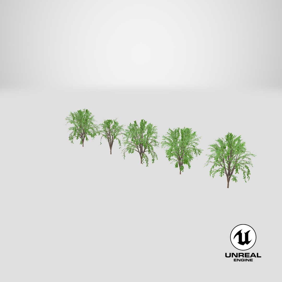 Tree Collection model https://p.turbosquid.com/ts-thumb/5c/jHWL3q/6a/stemcell_unreal_render/png/1658920591/1920x1080/fit_q87/91f992d2ce352b30a33ce208eb753efd8bb64310/stemcell_unreal_render.jpg