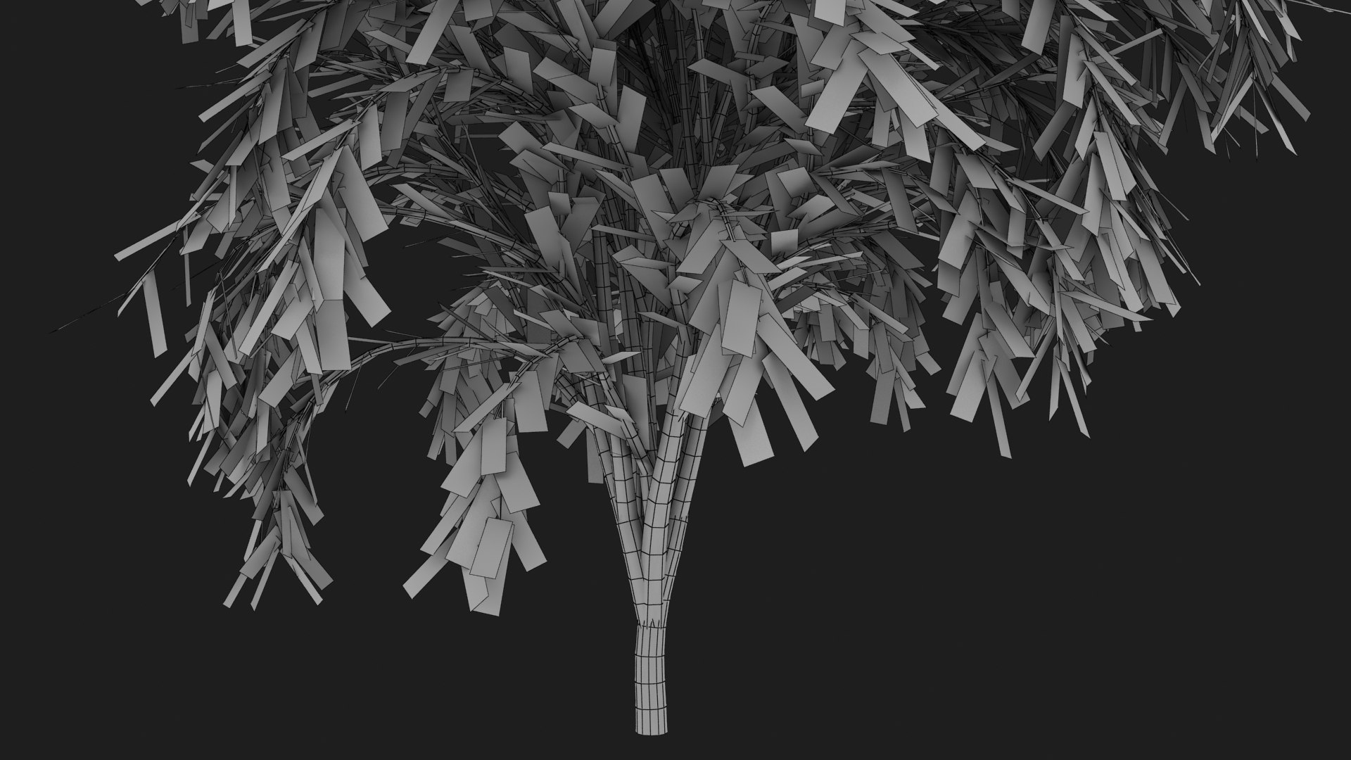 Tree Collection model https://p.turbosquid.com/ts-thumb/5c/jHWL3q/7r/treecalli_v1_g0010/jpg/1657285539/1920x1080/fit_q87/72cdb8bd577f955caade60b7eee1223704025f42/treecalli_v1_g0010.jpg