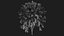 Tree Collection