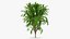 Tree Collection