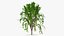 Tree Collection