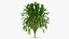 Tree Collection