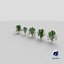 Tree Collection