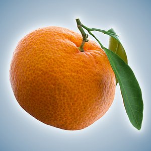 3D model mandarin polly