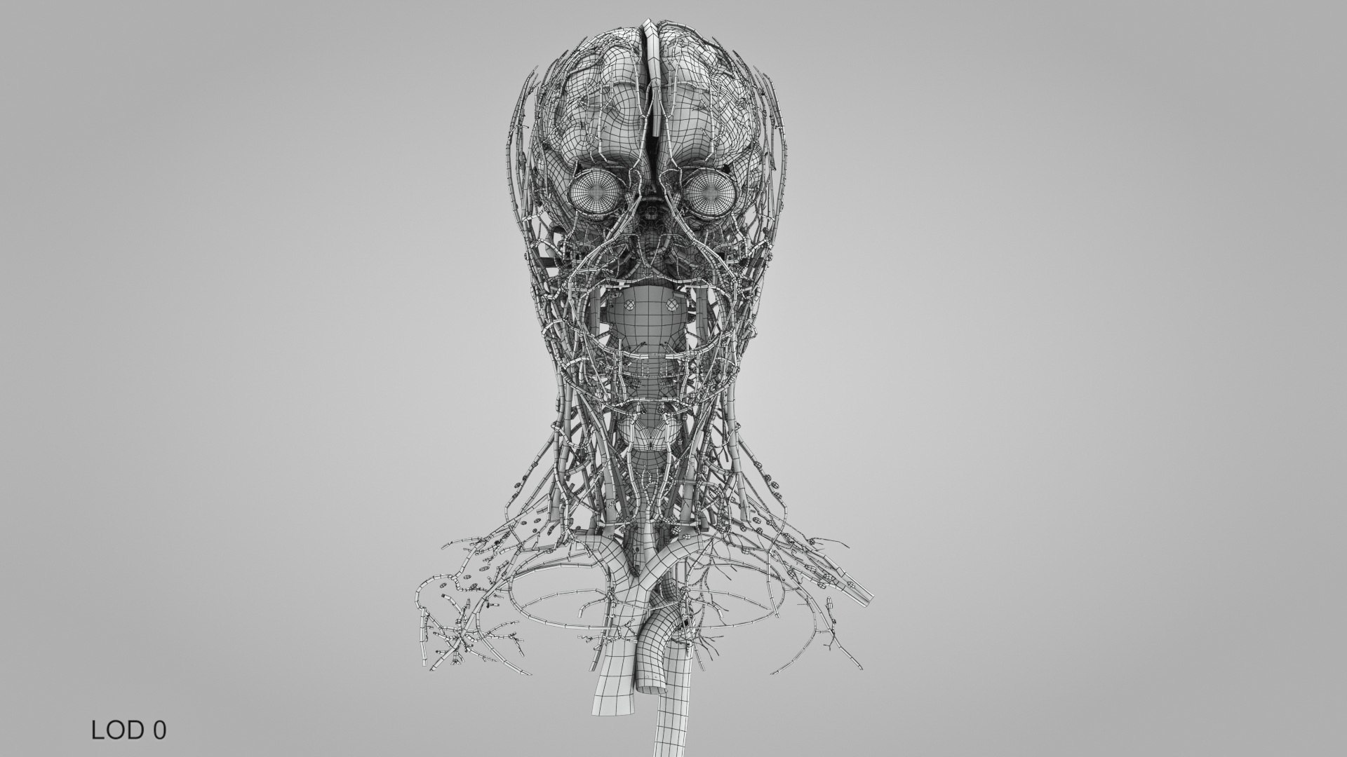 3D model Full human head anatomy https://p.turbosquid.com/ts-thumb/5c/nRsAX9/2C/humanheadanatomy_00065/jpg/1657565342/1920x1080/fit_q87/240b2df23686272f5c90cce2cb5c3cff047ea245/humanheadanatomy_00065.jpg