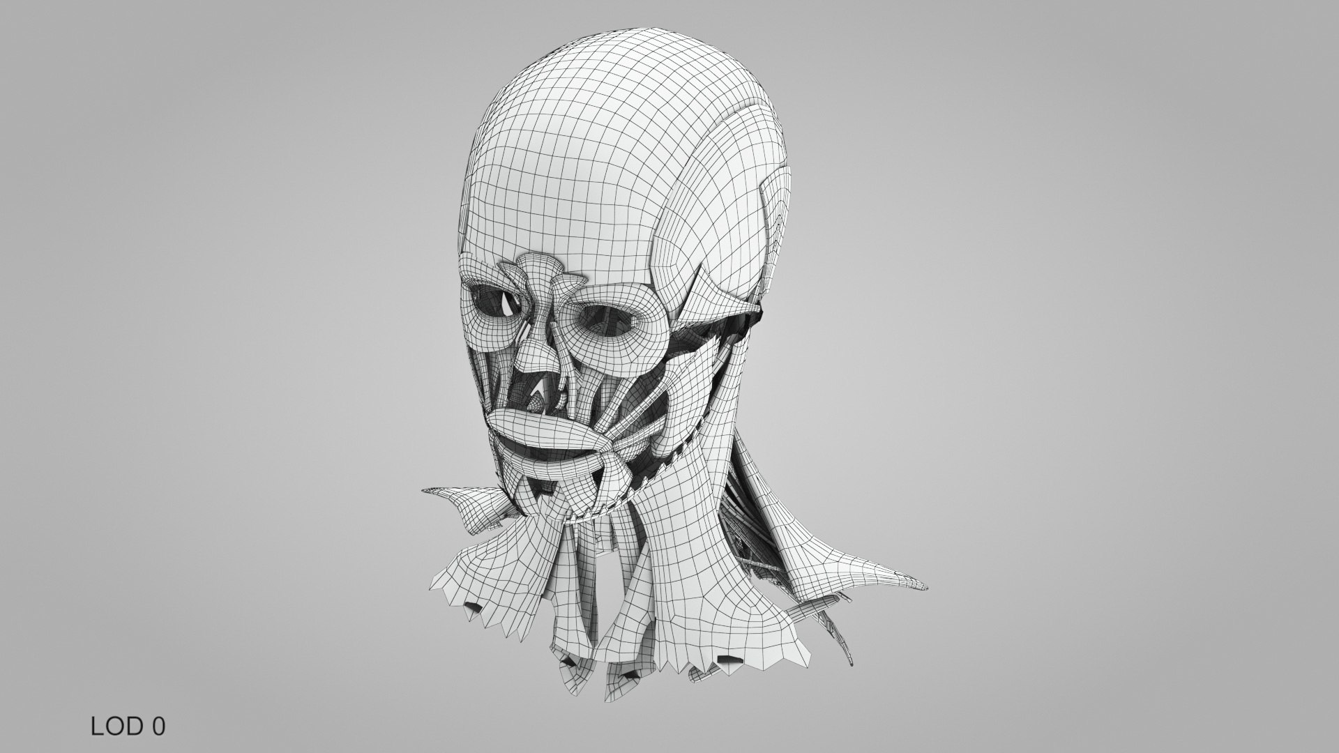 3D model Full human head anatomy https://p.turbosquid.com/ts-thumb/5c/nRsAX9/2G/humanheadanatomy_00043/jpg/1657565288/1920x1080/fit_q87/d51e14ec7df3ec0f4a4e3b4329aafb52df55f41f/humanheadanatomy_00043.jpg