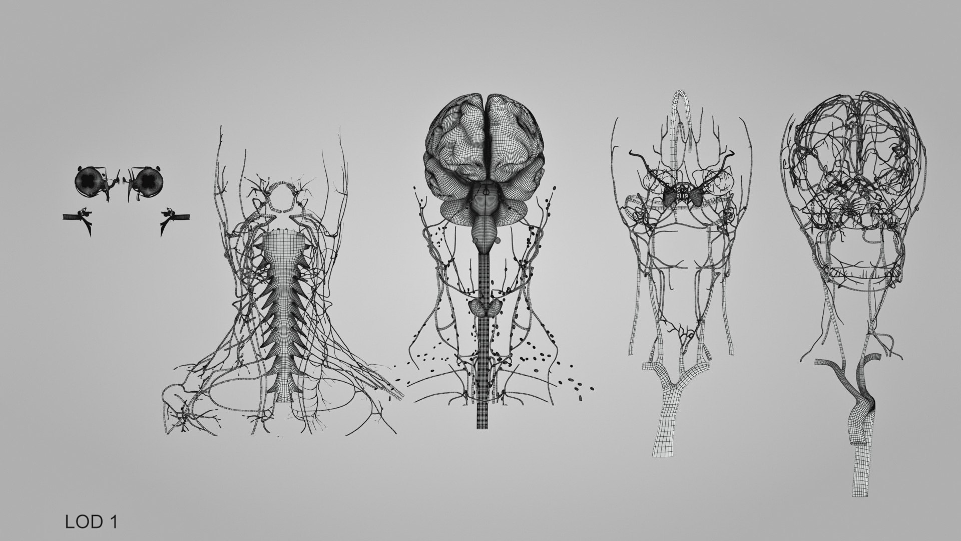 3D model Full human head anatomy https://p.turbosquid.com/ts-thumb/5c/nRsAX9/4b/humanheadanatomy_00070/jpg/1657565361/1920x1080/fit_q87/a0ce0ce1f4a8764602713f28d300e9410fb45360/humanheadanatomy_00070.jpg