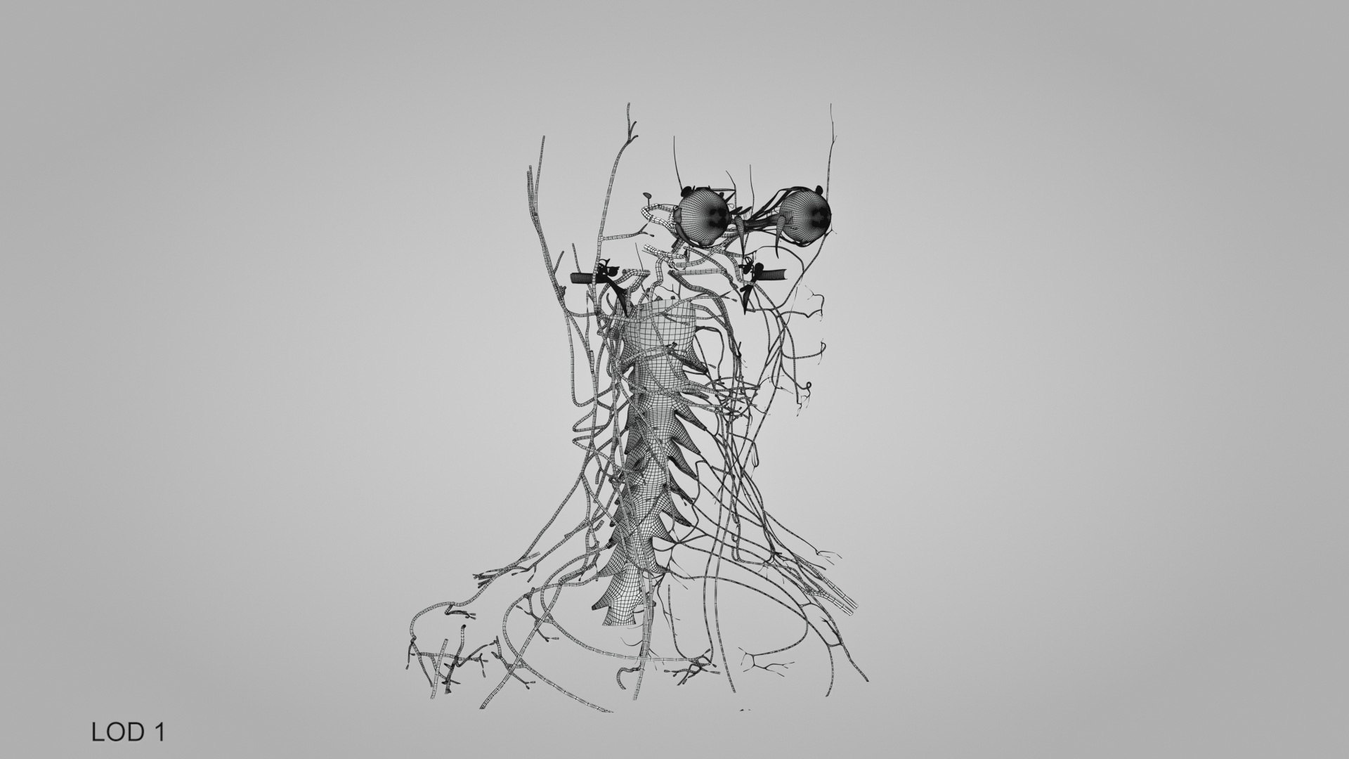 3D model Full human head anatomy https://p.turbosquid.com/ts-thumb/5c/nRsAX9/8Y/humanheadanatomy_00016/jpg/1657565232/1920x1080/fit_q87/9da9fa2a9df6bb526485c7ec29f4aeafec5173ec/humanheadanatomy_00016.jpg