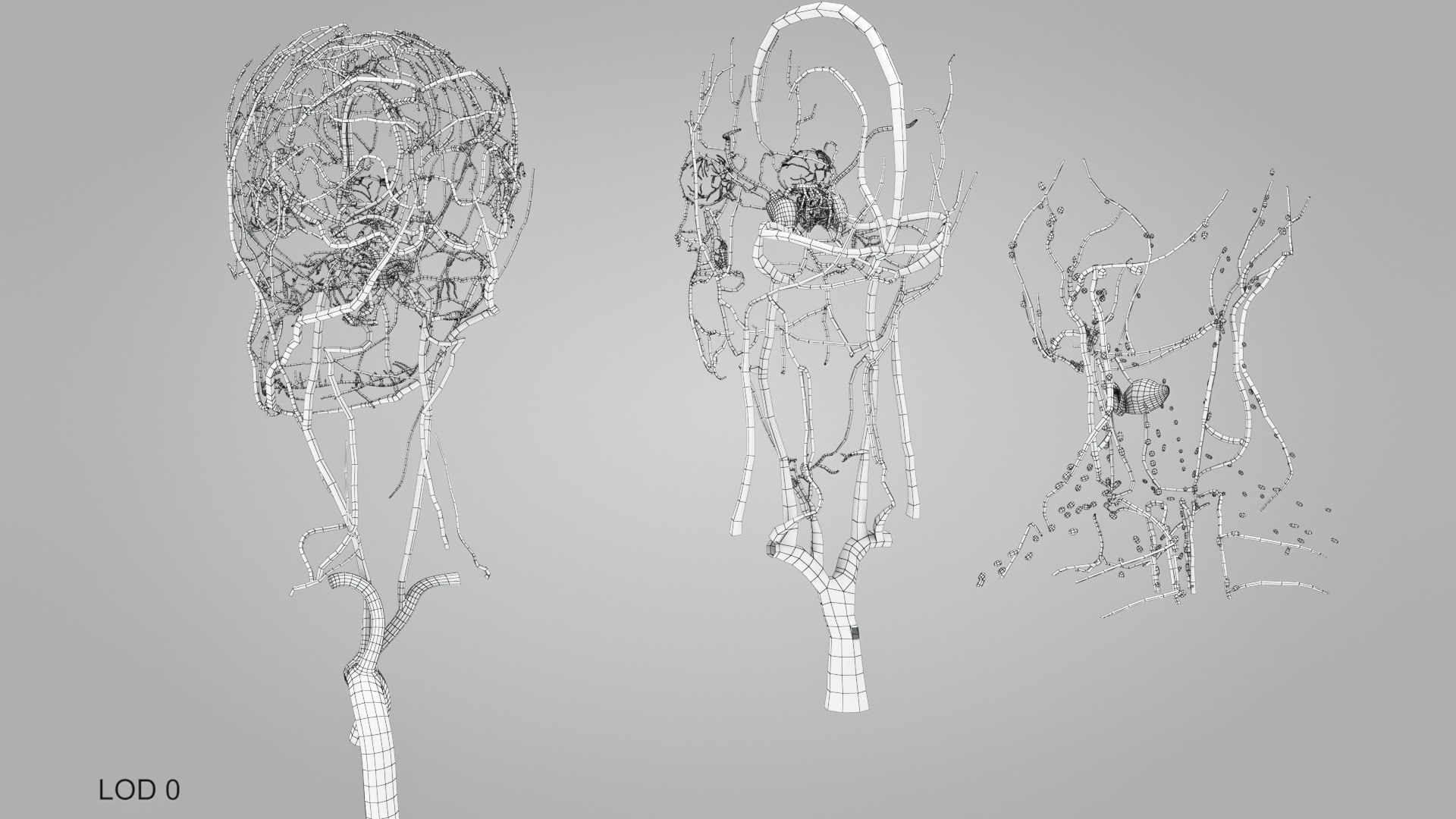 3D model Full human head anatomy https://p.turbosquid.com/ts-thumb/5c/nRsAX9/8c/humanheadanatomy_00061/jpg/1657565335/1920x1080/fit_q87/c225b7fe70beed77a0460d9d796df614113baf42/humanheadanatomy_00061.jpg