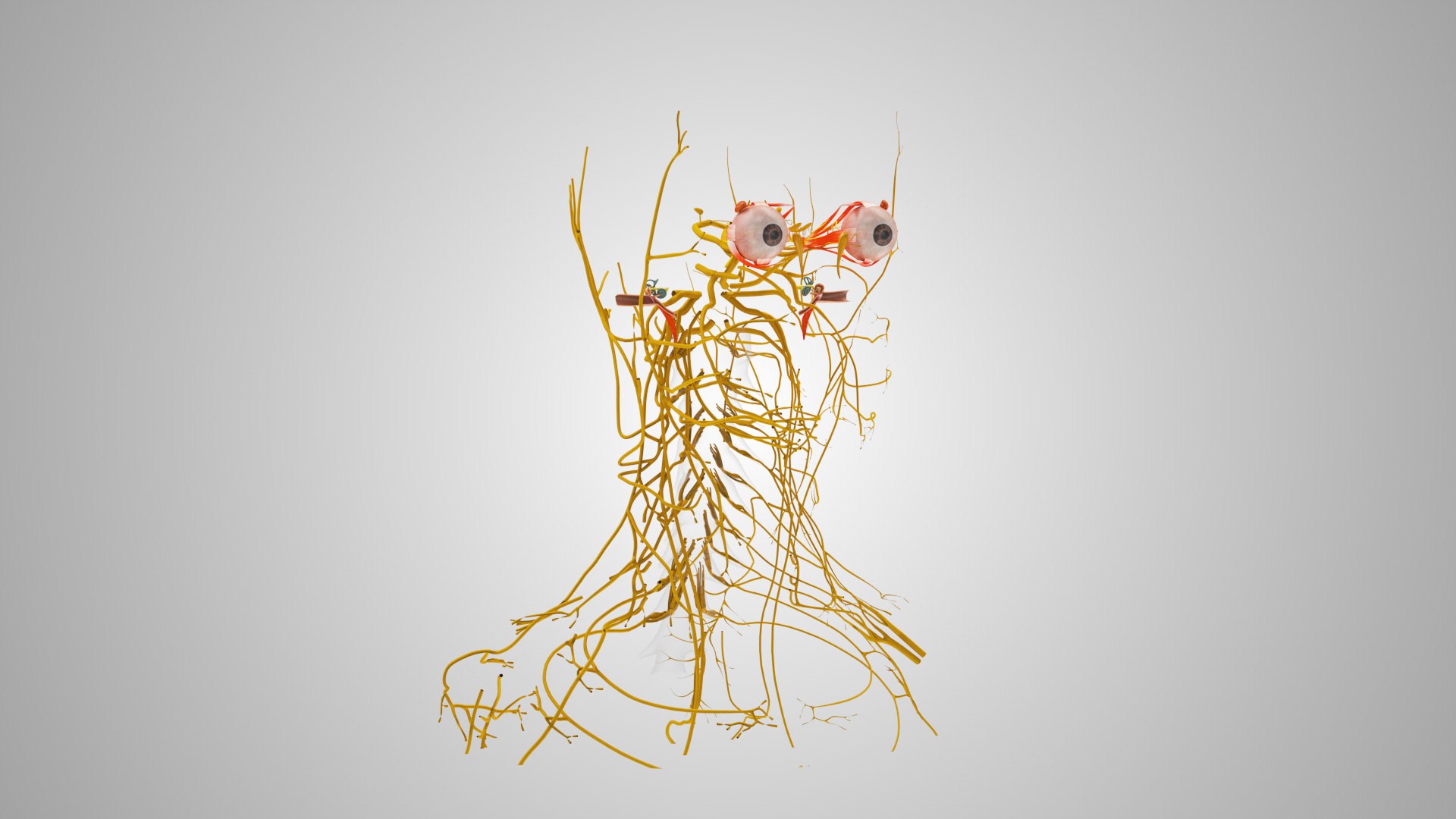 3D model Full human head anatomy https://p.turbosquid.com/ts-thumb/5c/nRsAX9/9E/humanheadanatomy_00089/jpg/1657565067/1920x1080/fit_q87/18e699644e519163a7527ec9a958a6228a2a56d9/humanheadanatomy_00089.jpg