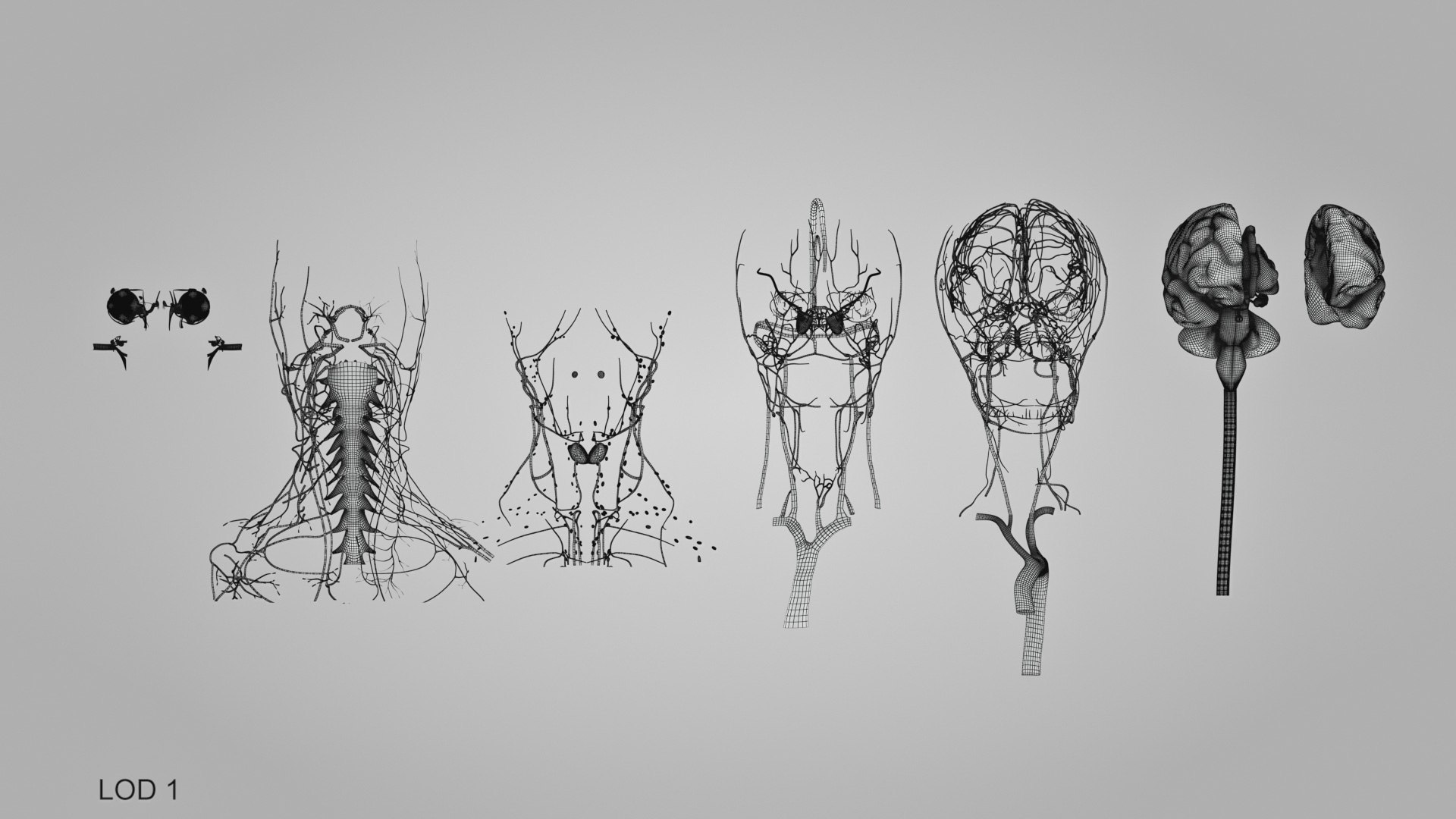 3D model Full human head anatomy https://p.turbosquid.com/ts-thumb/5c/nRsAX9/9K/humanheadanatomy_00072/jpg/1657565362/1920x1080/fit_q87/8eb7ba2373e1742119f6411c33f834ee22bc02a8/humanheadanatomy_00072.jpg