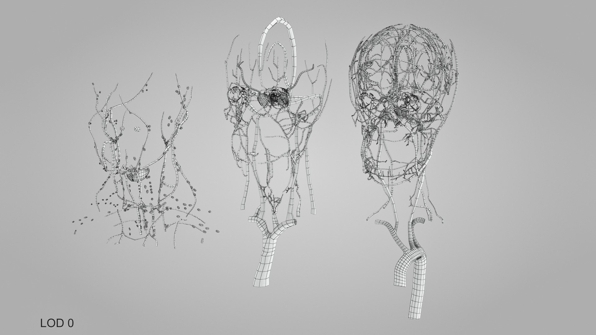 3D model Full human head anatomy https://p.turbosquid.com/ts-thumb/5c/nRsAX9/Ar/humanheadanatomy_00055/jpg/1657565316/1920x1080/fit_q87/5219e381f886284be78ba64b7bca96212da5b3a0/humanheadanatomy_00055.jpg