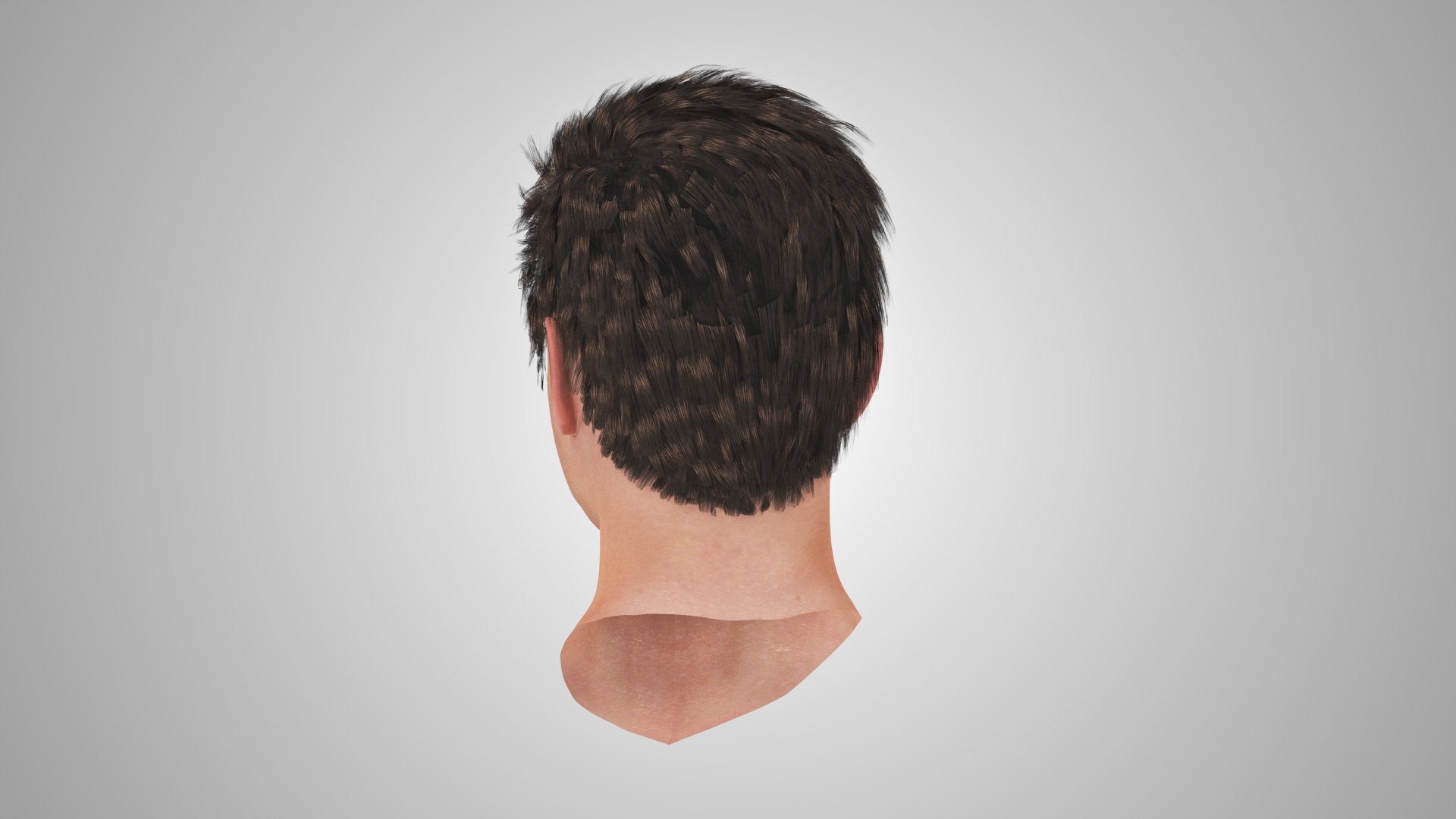 3D model Full human head anatomy https://p.turbosquid.com/ts-thumb/5c/nRsAX9/DU/humanheadanatomy_00086/jpg/1657565066/1920x1080/fit_q87/1dcd632efa98be3a44fe026a2a620c05fe49e3b2/humanheadanatomy_00086.jpg