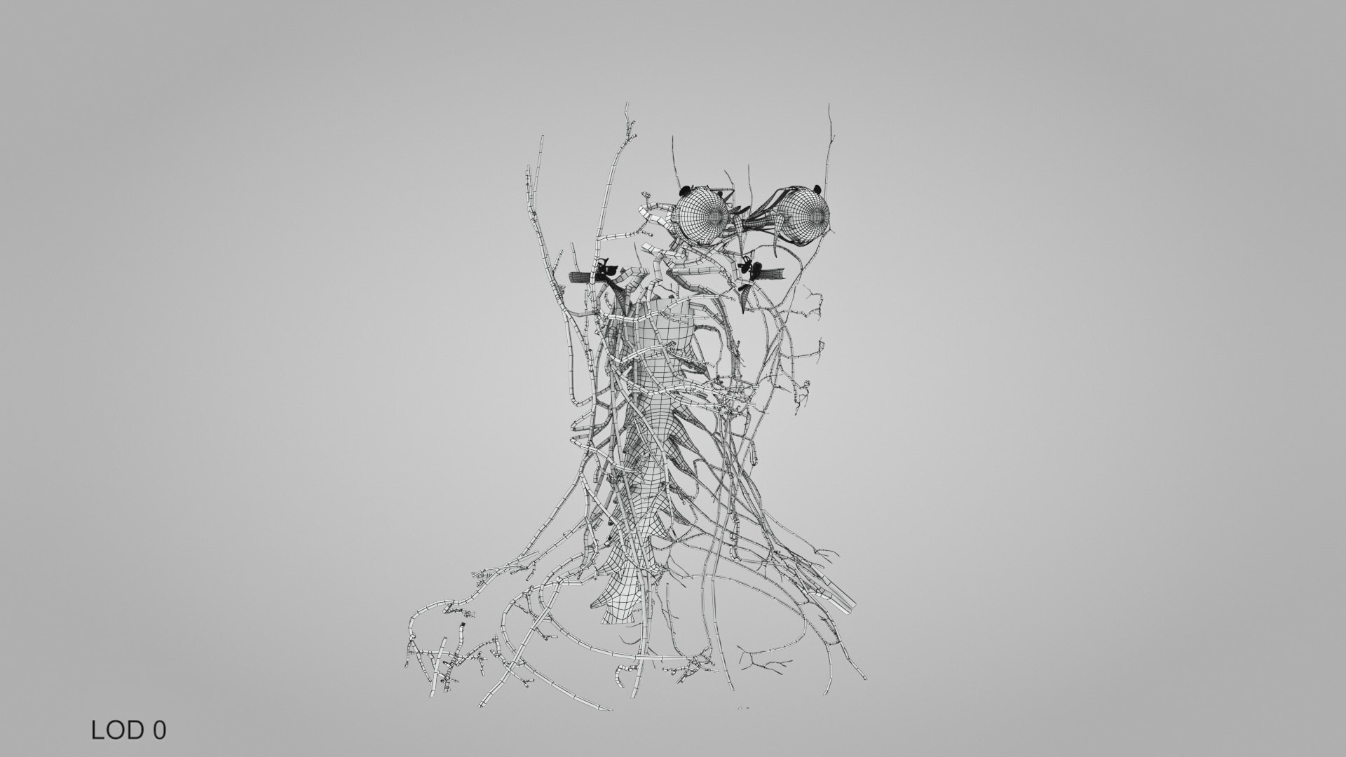 3D model Full human head anatomy https://p.turbosquid.com/ts-thumb/5c/nRsAX9/Dj/humanheadanatomy_00015/jpg/1657565232/1920x1080/fit_q87/947c0e53af13faf4aa491e7522cbd1ba8fee38d2/humanheadanatomy_00015.jpg