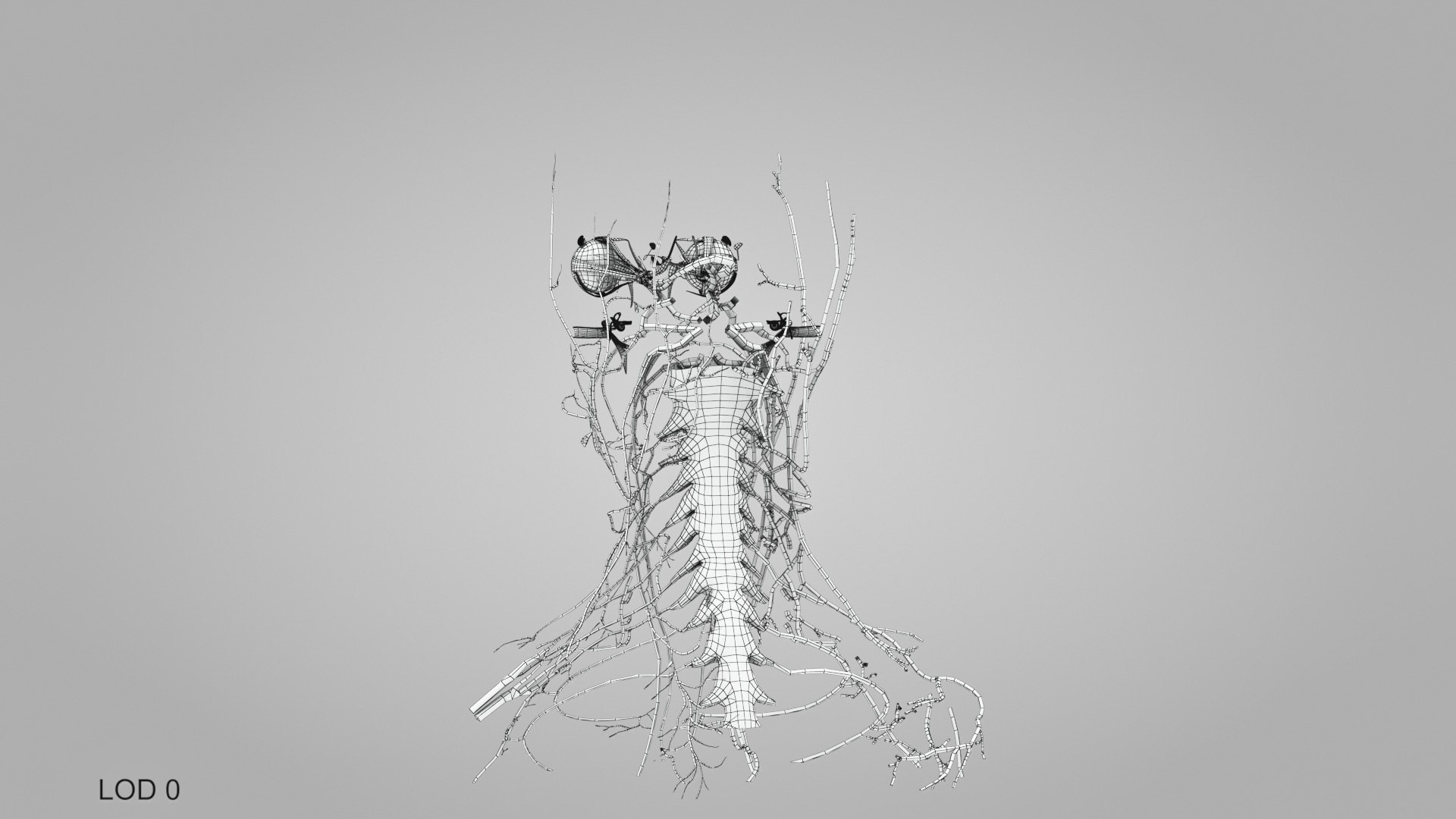 3D model Full human head anatomy https://p.turbosquid.com/ts-thumb/5c/nRsAX9/Ea/humanheadanatomy_00013/jpg/1657565226/1920x1080/fit_q87/e764fa61e2e33b3b40d2e5c38f964efae1e26026/humanheadanatomy_00013.jpg