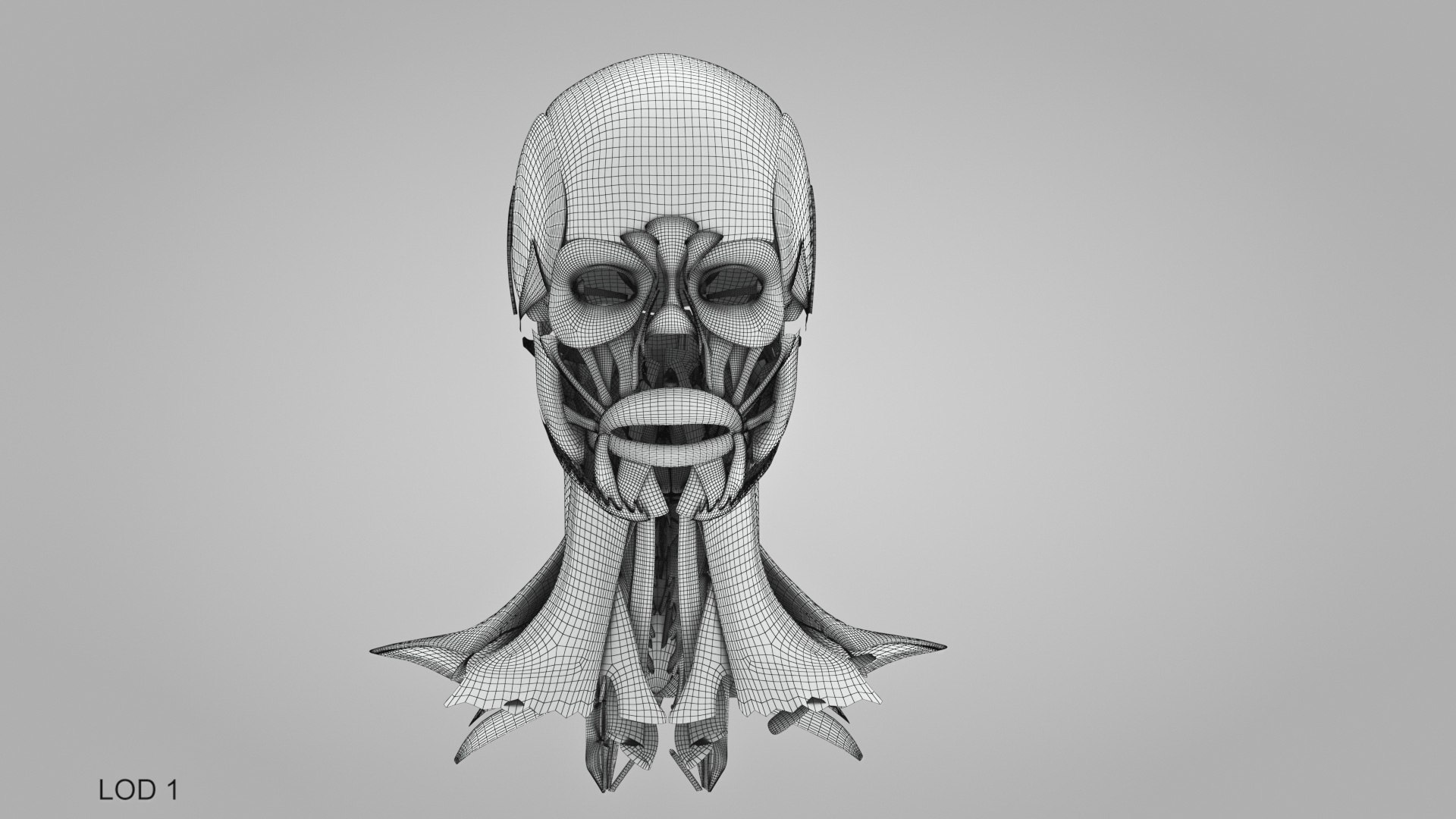 3D model Full human head anatomy https://p.turbosquid.com/ts-thumb/5c/nRsAX9/Fp/humanheadanatomy_00048/jpg/1657565302/1920x1080/fit_q87/c90befb1e8bf9106245c46a502ba249b6bf84be8/humanheadanatomy_00048.jpg