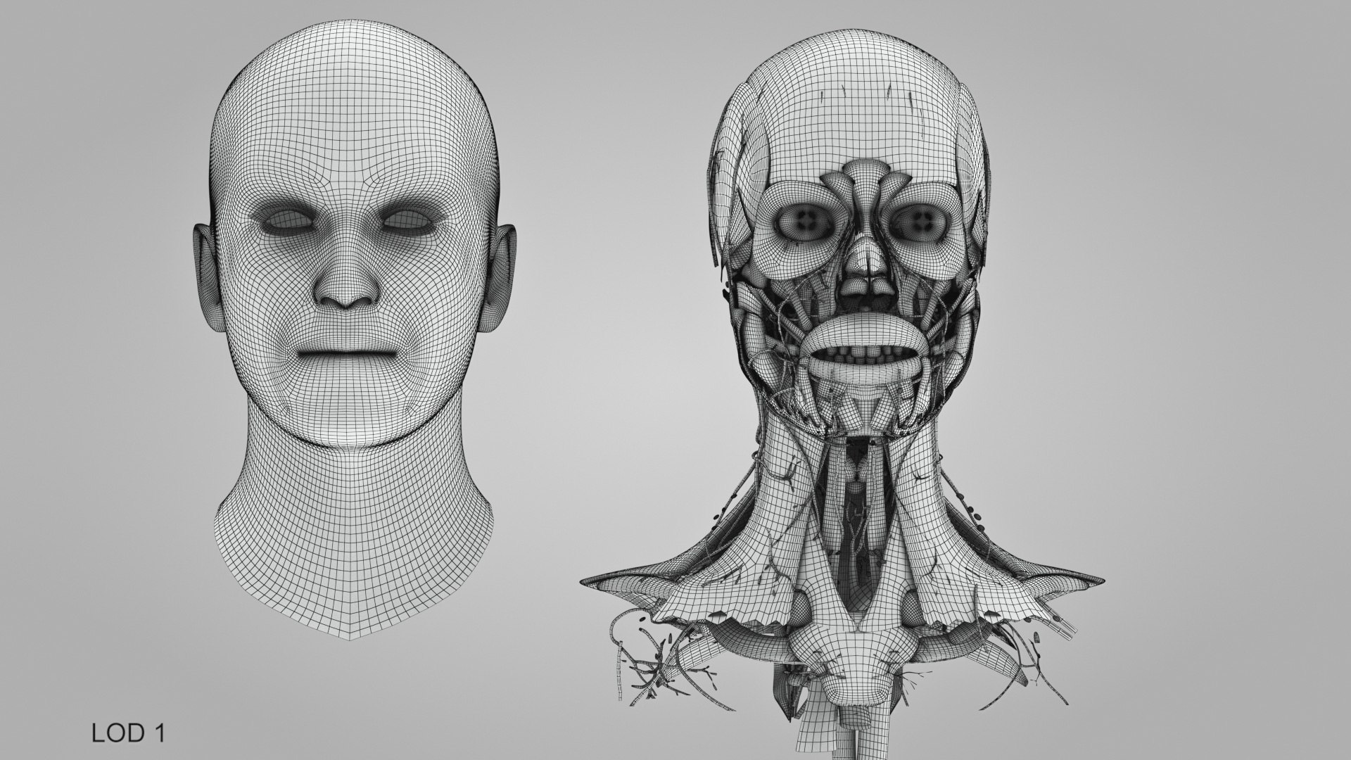 3D model Full human head anatomy https://p.turbosquid.com/ts-thumb/5c/nRsAX9/HQ/humanheadanatomy_00002/jpg/1657565214/1920x1080/fit_q87/c740d7583cd80152cfd0337de892981de2e66ceb/humanheadanatomy_00002.jpg