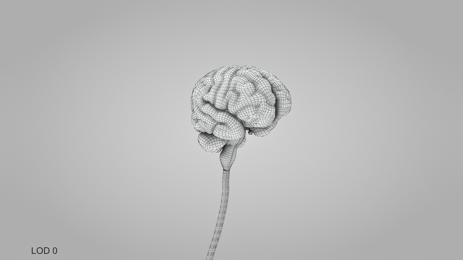 3D model Full human head anatomy https://p.turbosquid.com/ts-thumb/5c/nRsAX9/Ot/humanheadanatomy_00021/jpg/1657565244/1920x1080/fit_q87/28e749643df1ce187af5d56940e186e82de70af6/humanheadanatomy_00021.jpg