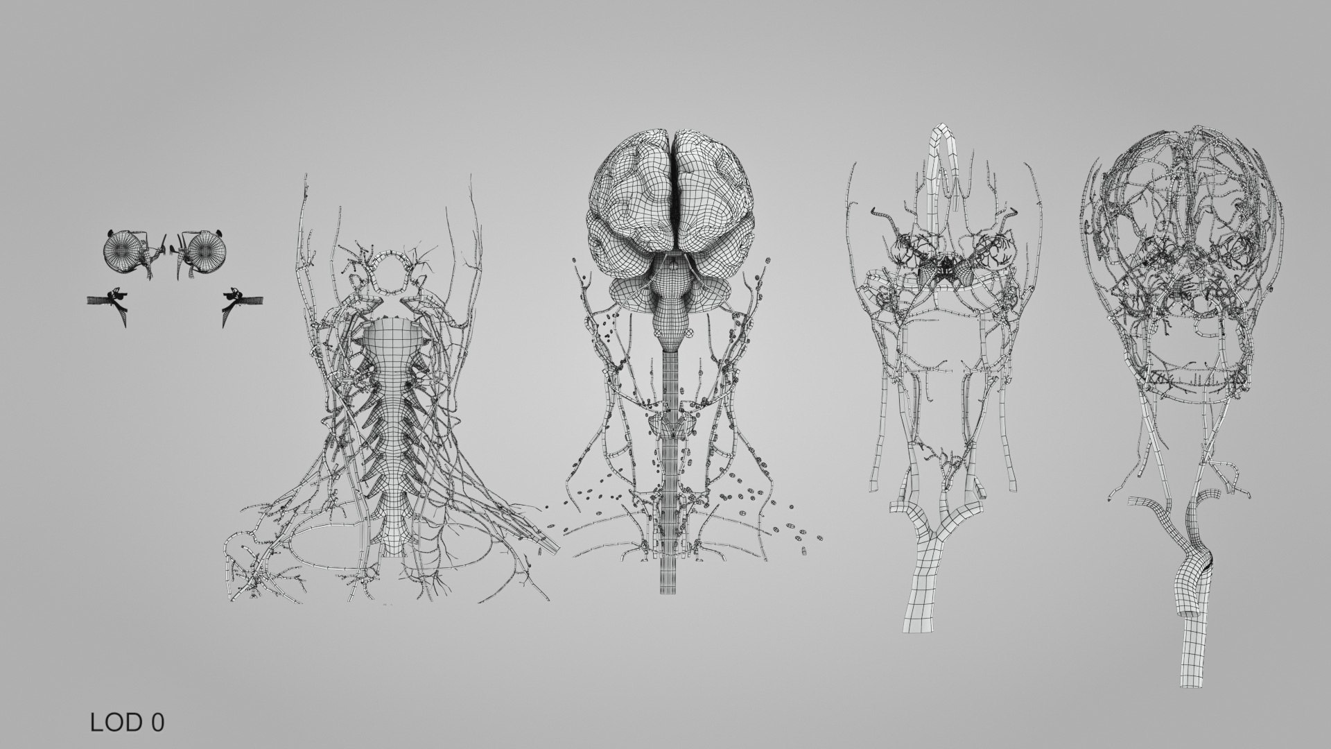 3D model Full human head anatomy https://p.turbosquid.com/ts-thumb/5c/nRsAX9/QY/humanheadanatomy_00069/jpg/1657565353/1920x1080/fit_q87/c6f72422f273b4ac735e779b045b2ed9d08a9517/humanheadanatomy_00069.jpg