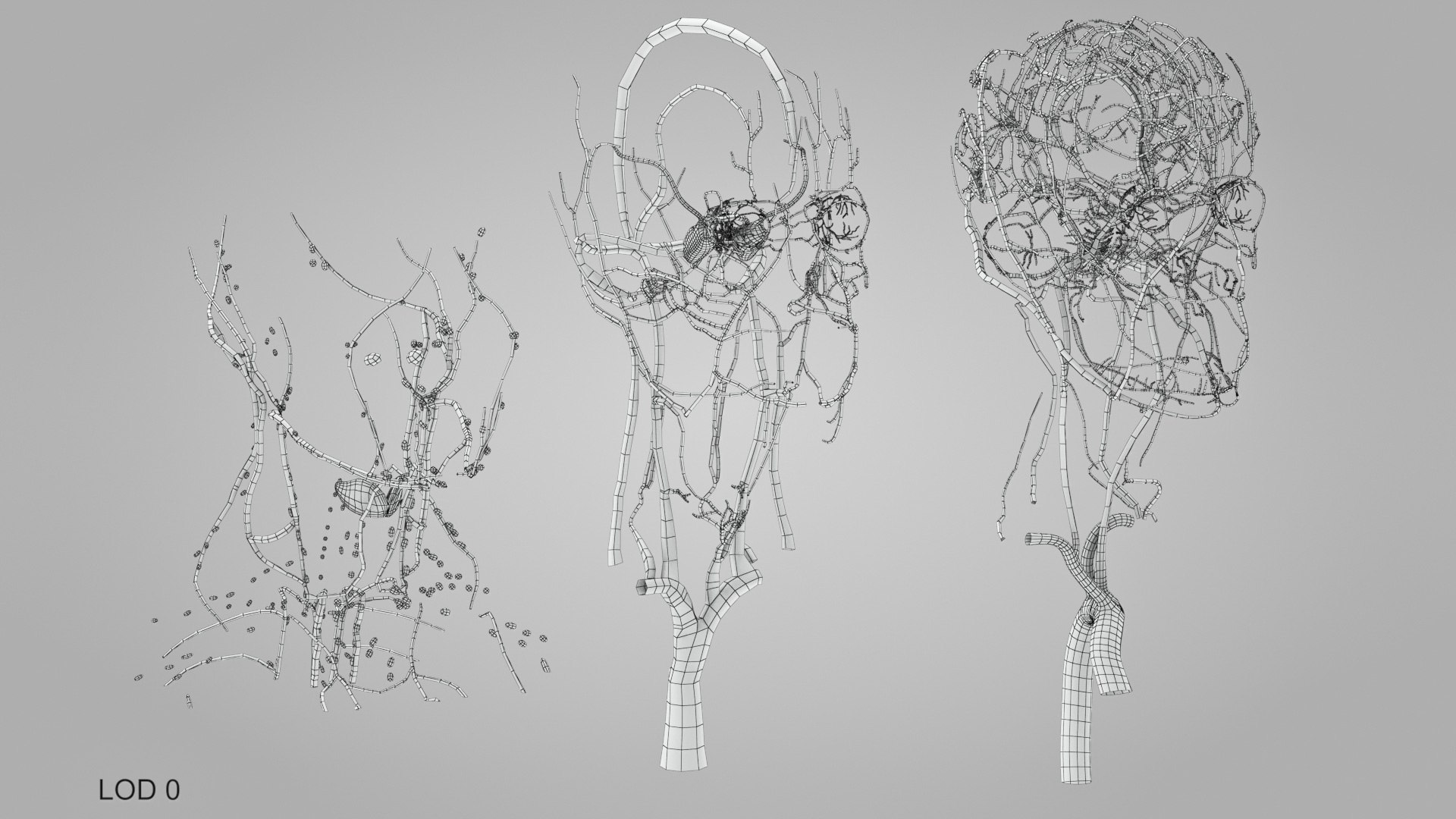 3D model Full human head anatomy https://p.turbosquid.com/ts-thumb/5c/nRsAX9/R7/humanheadanatomy_00059/jpg/1657565327/1920x1080/fit_q87/e6a1b66299ee8ec92a43a3a1fb6652fce64efe20/humanheadanatomy_00059.jpg